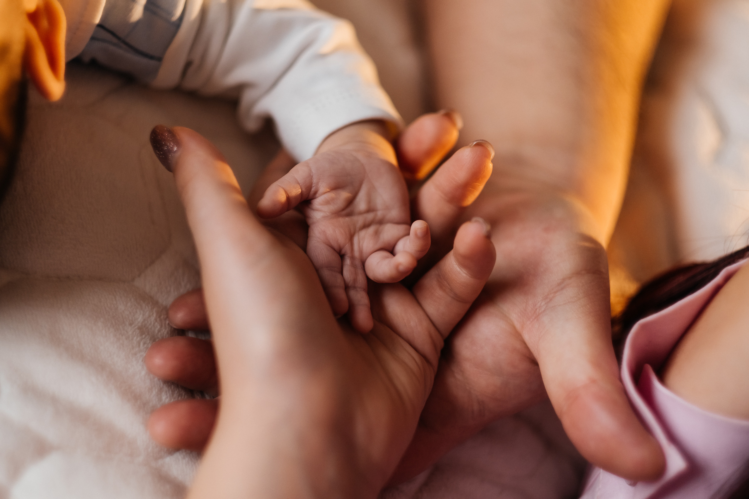 Уютные домашние объятья. Сімейний і портретний фотограф у Києві Проценко Алла