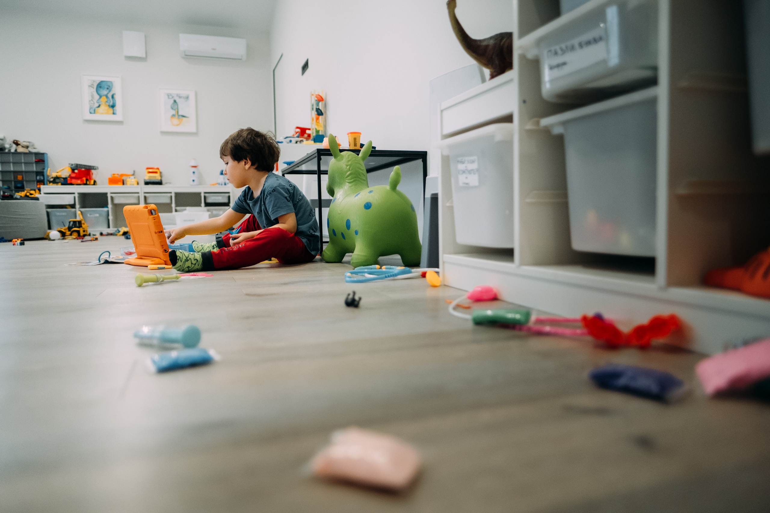 Home Sweet Home. Сімейний і портретний фотограф у Києві Проценко Алла