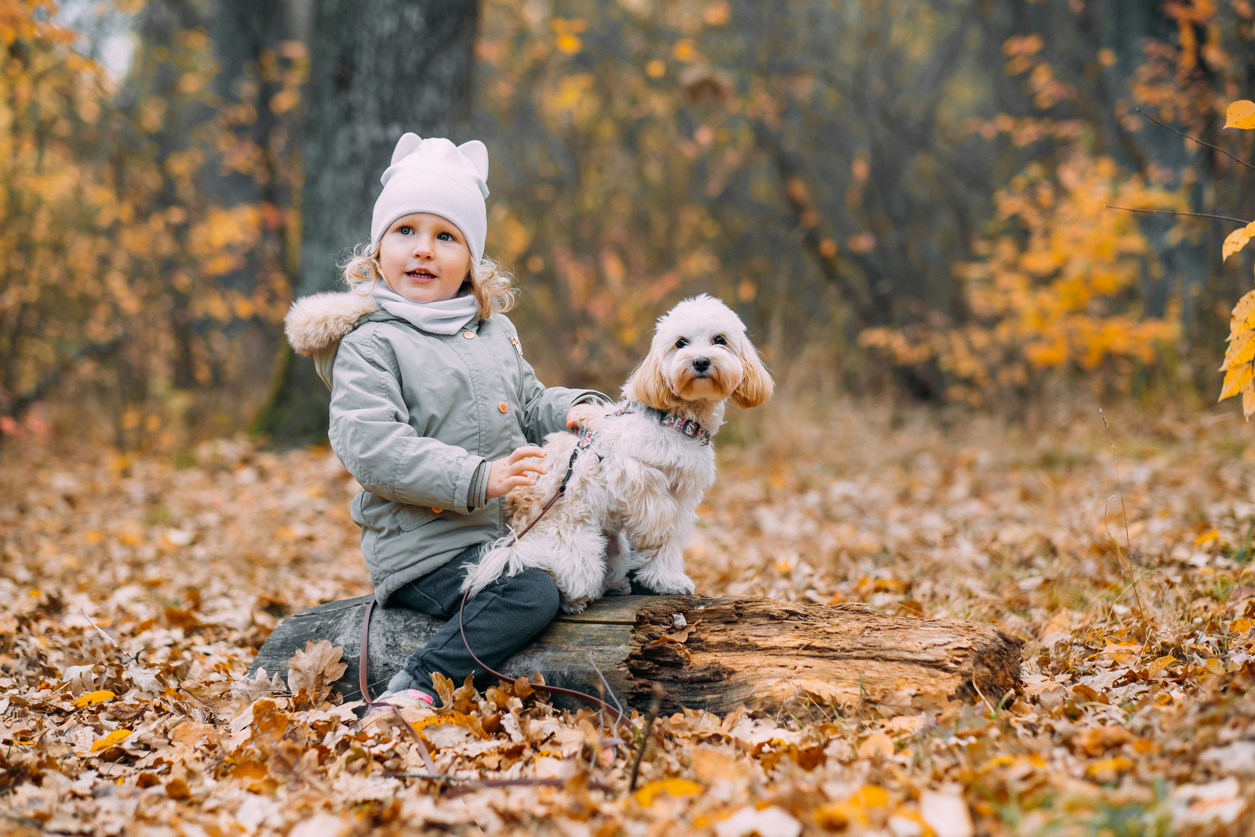 Теплые осенние поцелуи. Сімейний і портретний фотограф у Києві Проценко Алла