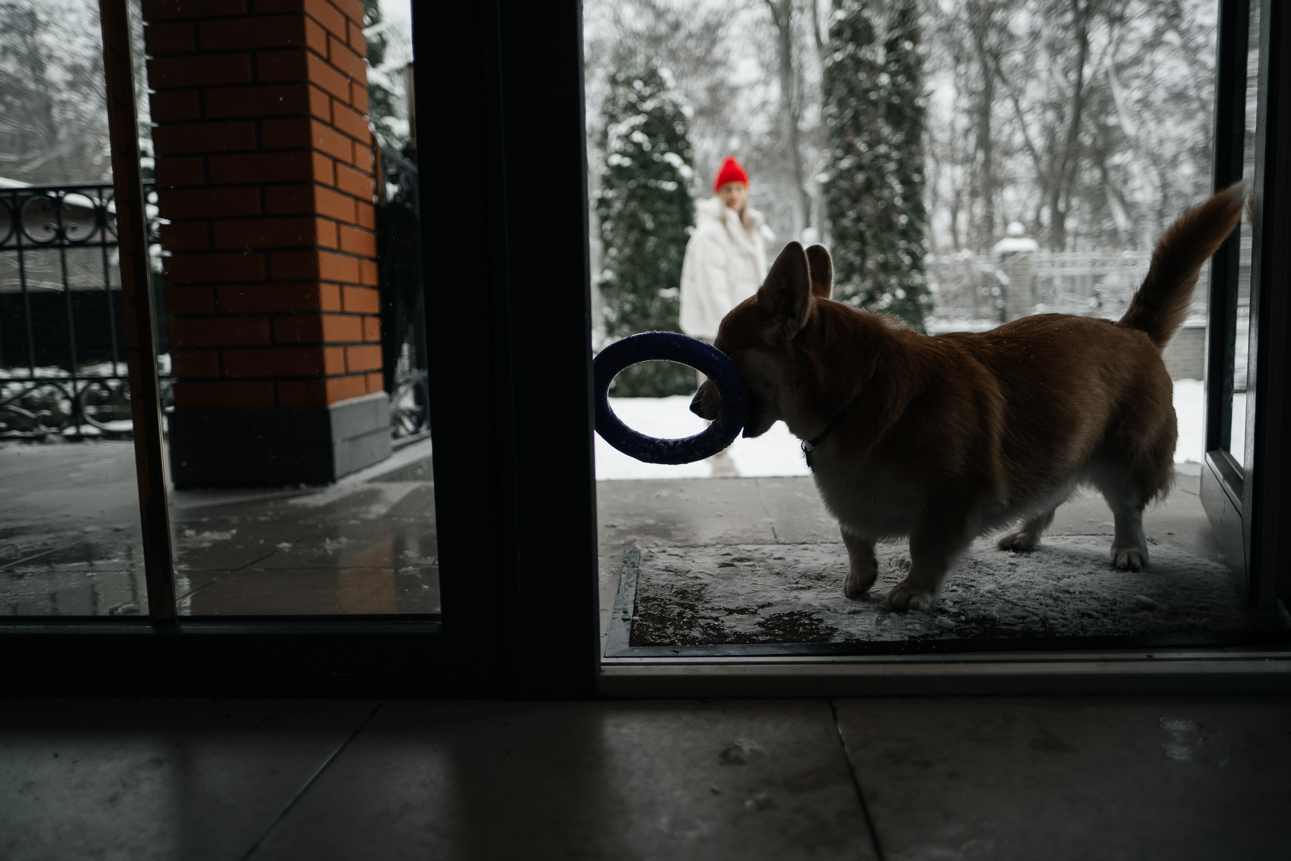 Затишна домашня фотосесія з улюбленцем. Сімейний і портретний фотограф у Києві Проценко Алла