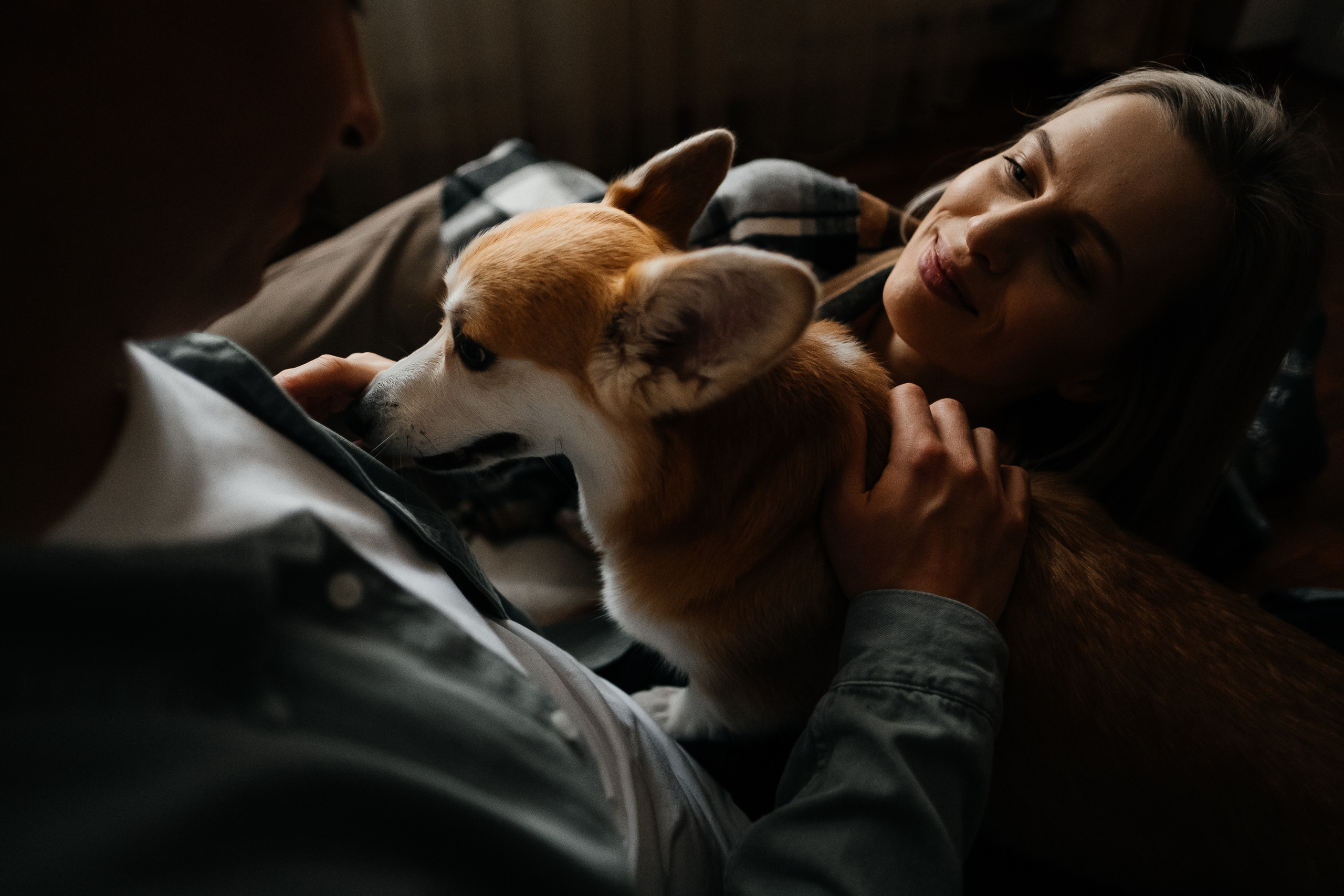 Затишна домашня фотосесія з улюбленцем. Сімейний і портретний фотограф у Києві Проценко Алла