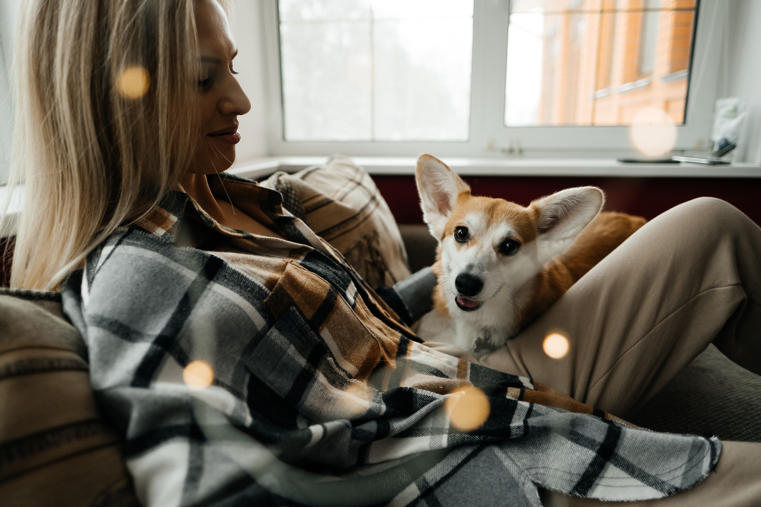Затишна домашня фотосесія з улюбленцем. Сімейний і портретний фотограф у Києві Проценко Алла