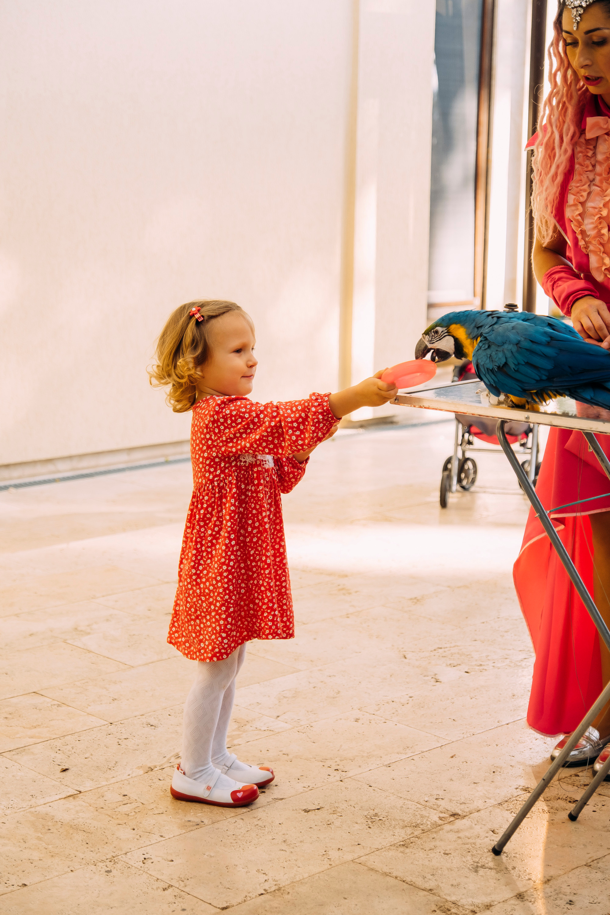 Фотосессия Дня Рождения Софийки. Сімейний і портретний фотограф у Києві Проценко Алла