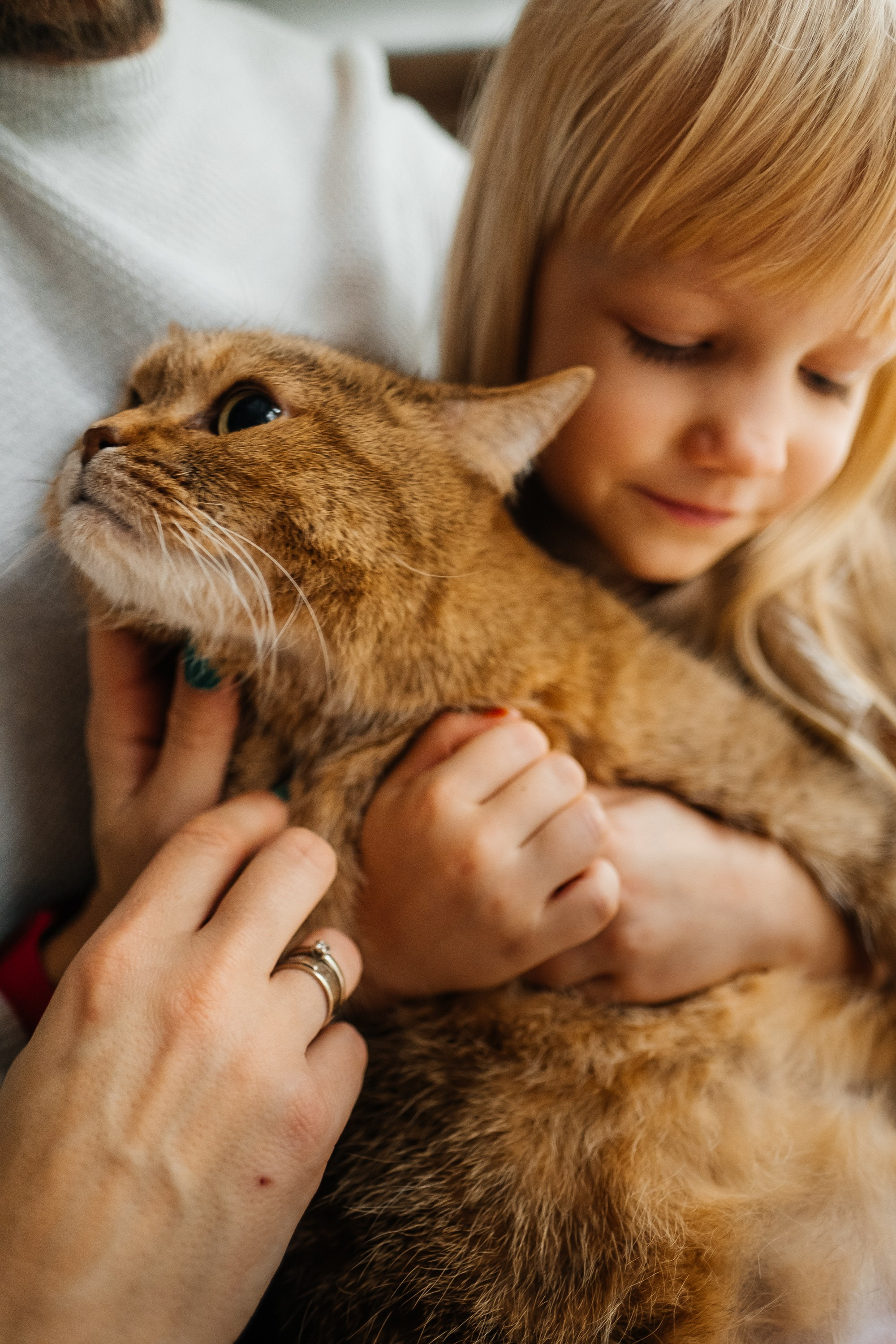 Домашні обійми. Сімейний і портретний фотограф у Києві Проценко Алла