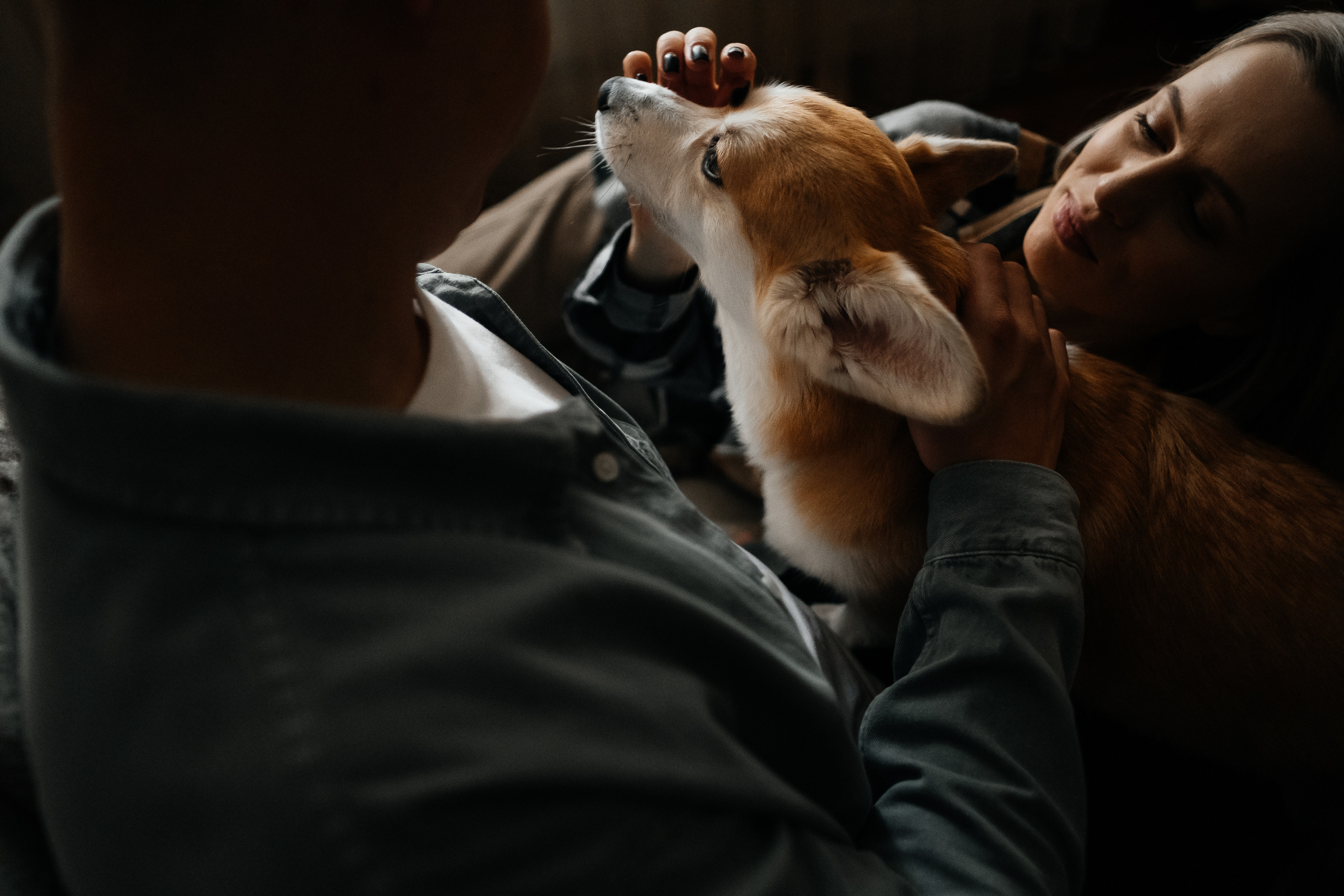 Затишна домашня фотосесія з улюбленцем. Сімейний і портретний фотограф у Києві Проценко Алла