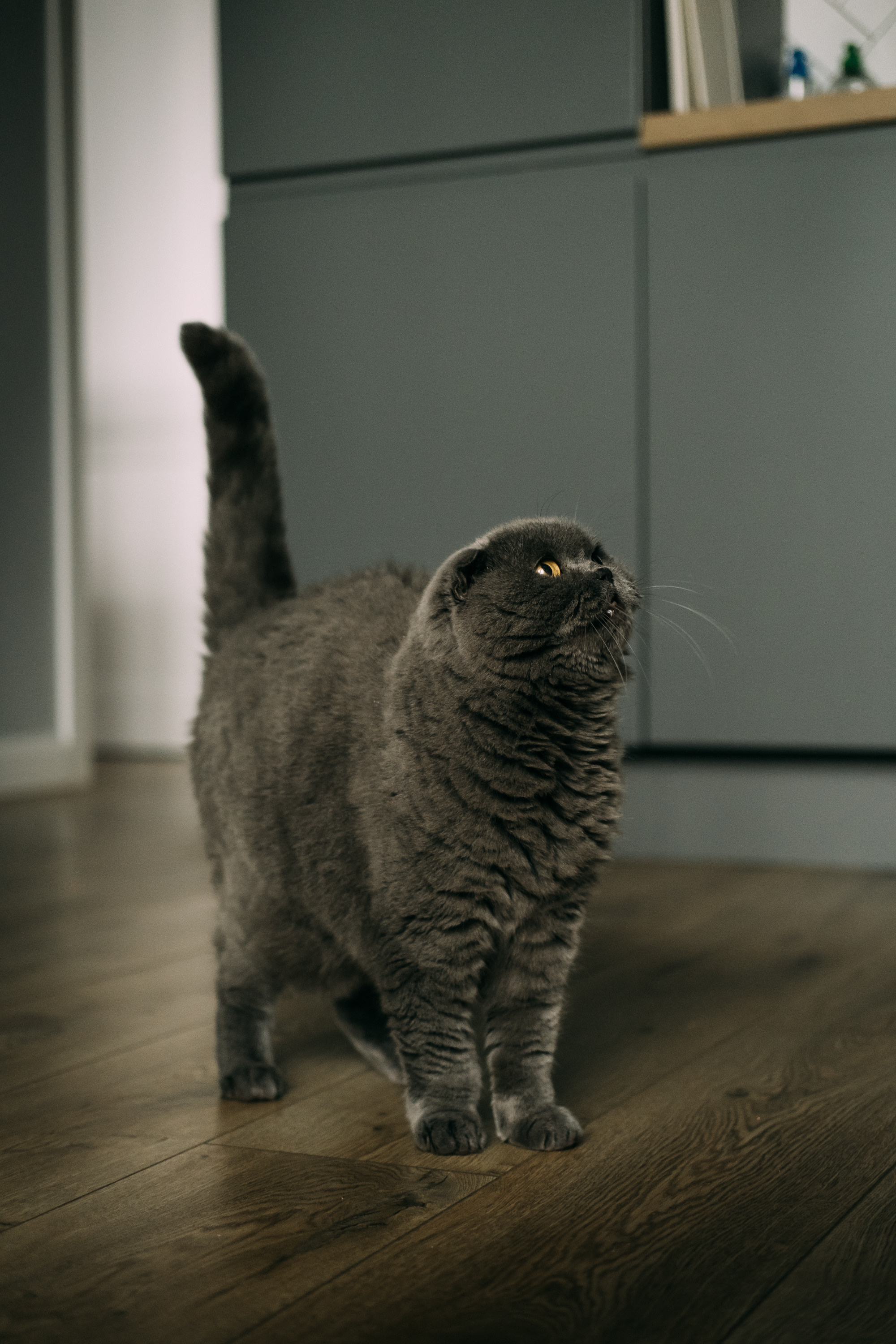 Hello, little!. Сімейний і портретний фотограф у Києві Проценко Алла