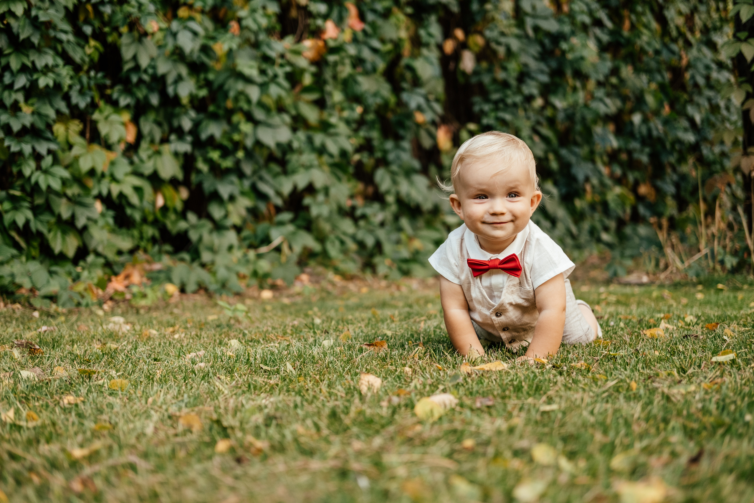 Красавчик в красной бабочке. Сімейний і портретний фотограф у Києві Проценко Алла