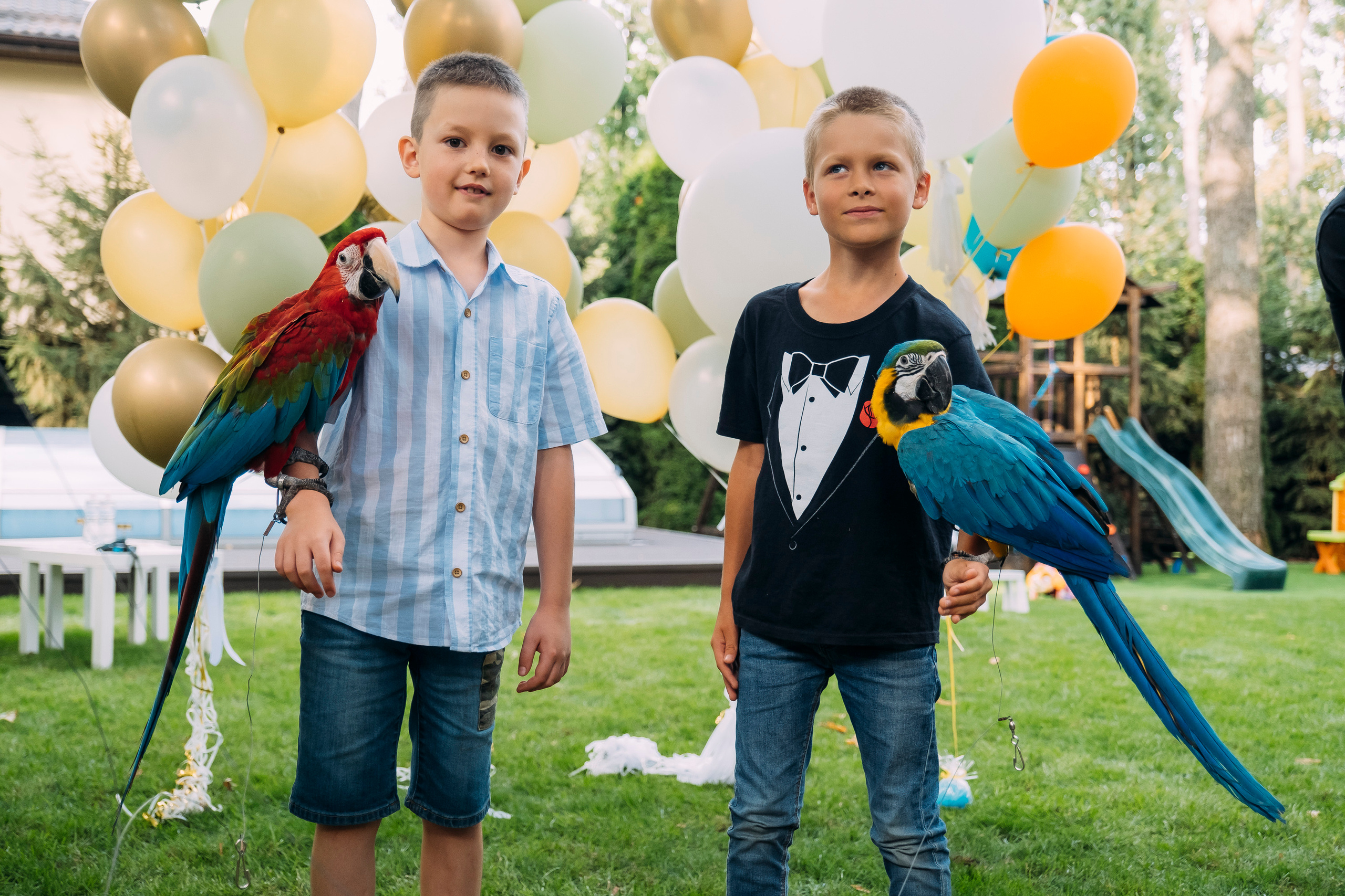 Фотосессия Дня Рождения Софийки. Сімейний і портретний фотограф у Києві Проценко Алла
