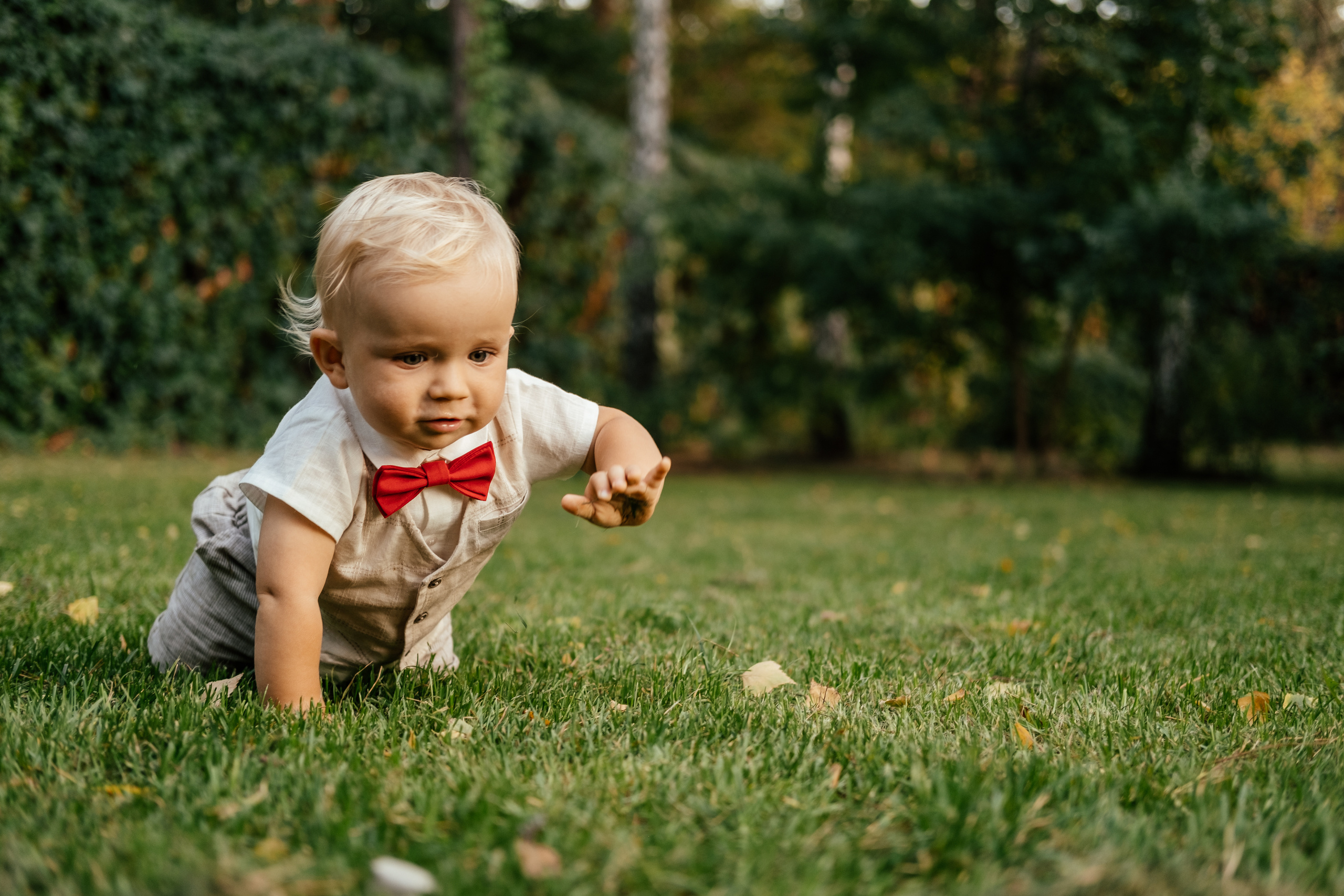 Красавчик в красной бабочке. Сімейний і портретний фотограф у Києві Проценко Алла