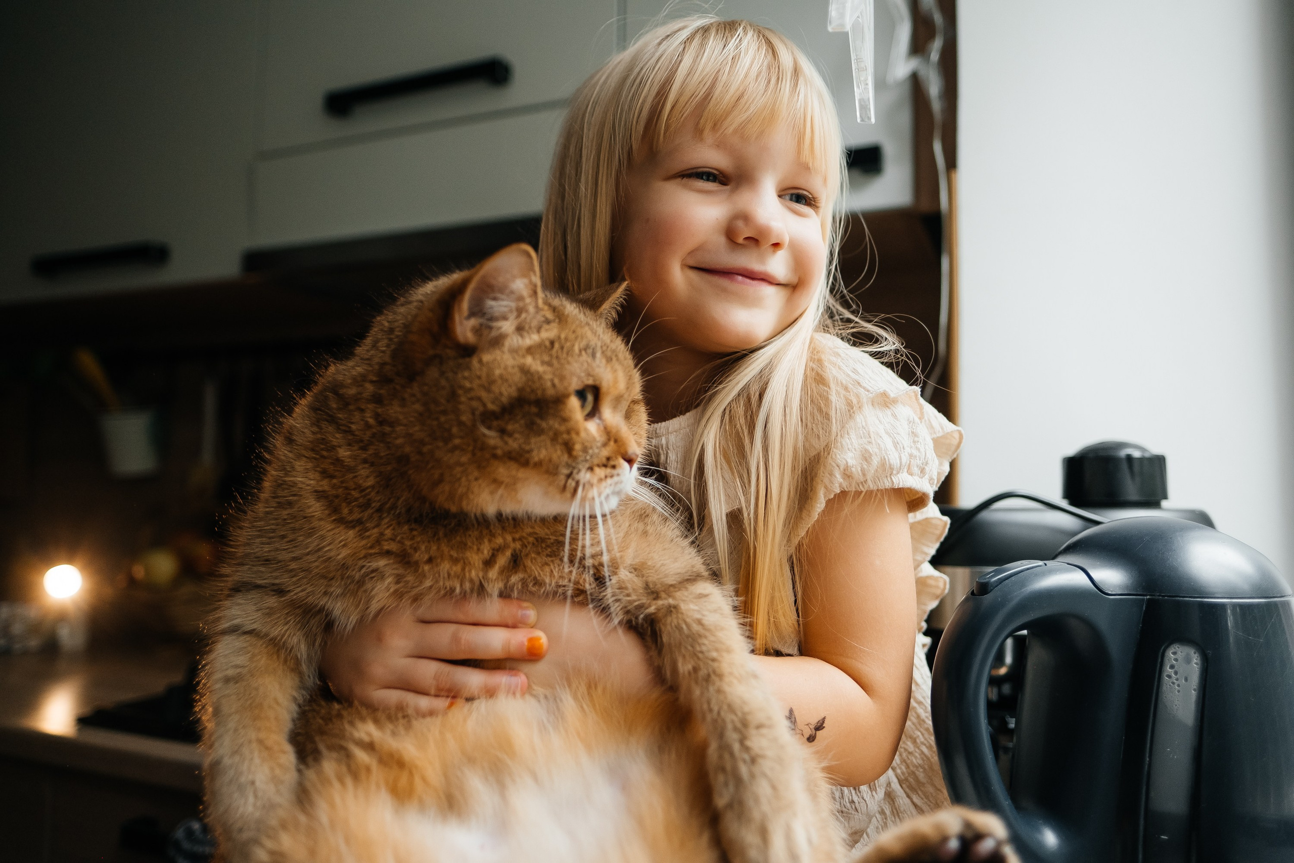 Домашні обійми. Сімейний і портретний фотограф у Києві Проценко Алла