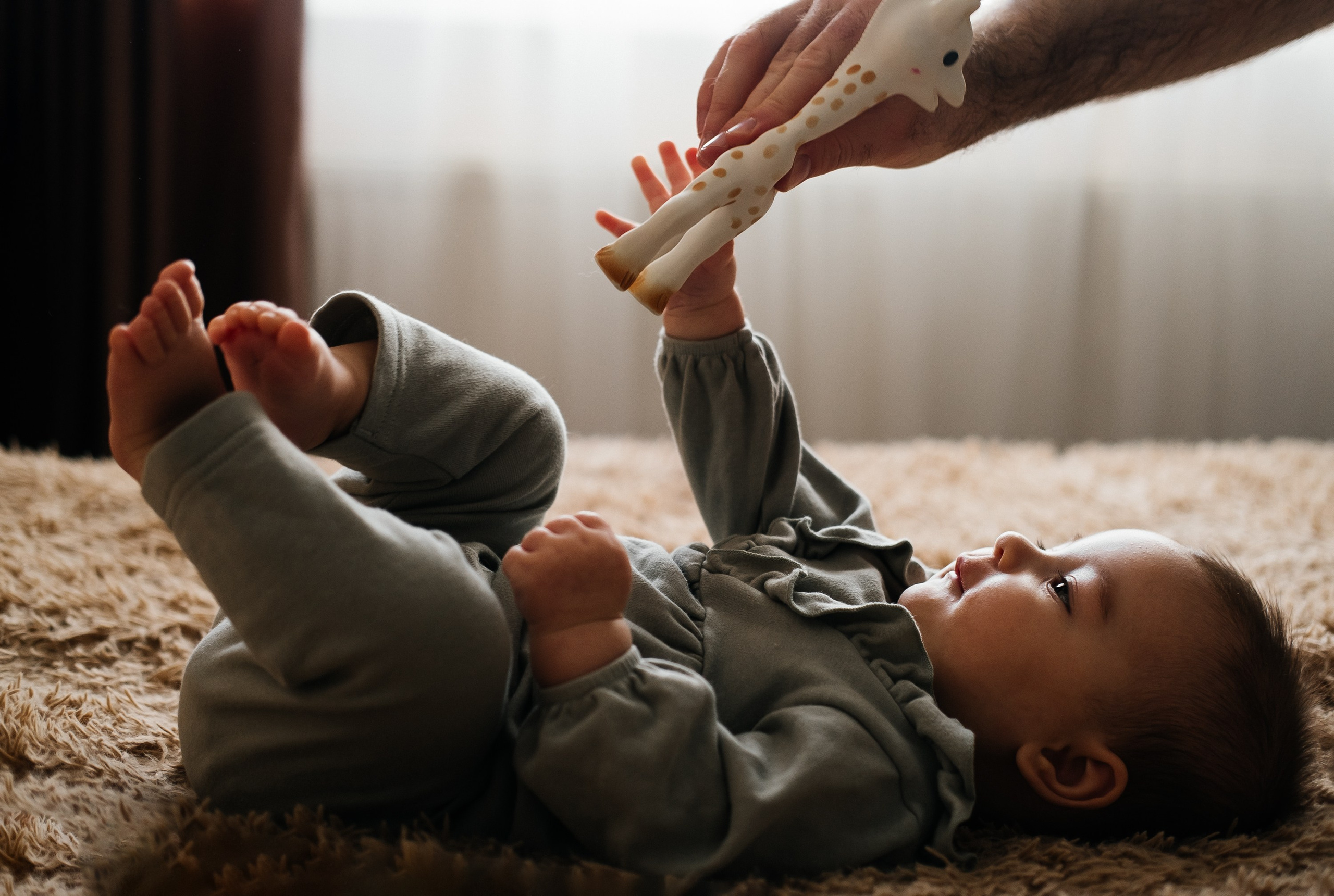 Сімейне гніздечко Каті та Діми. Сімейний і портретний фотограф у Києві Проценко Алла