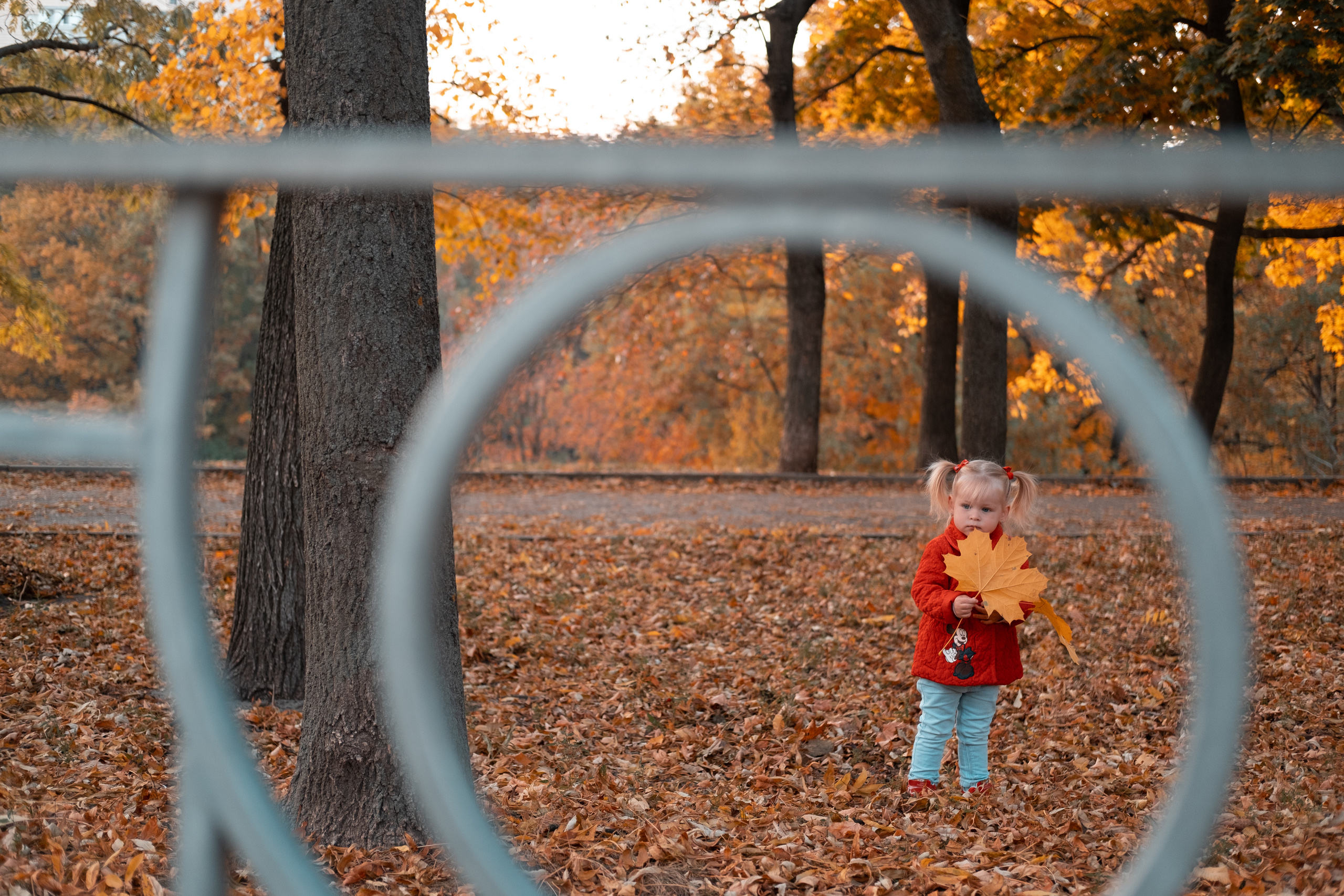 Сімейні. Сімейний і портретний фотограф у Києві Проценко Алла