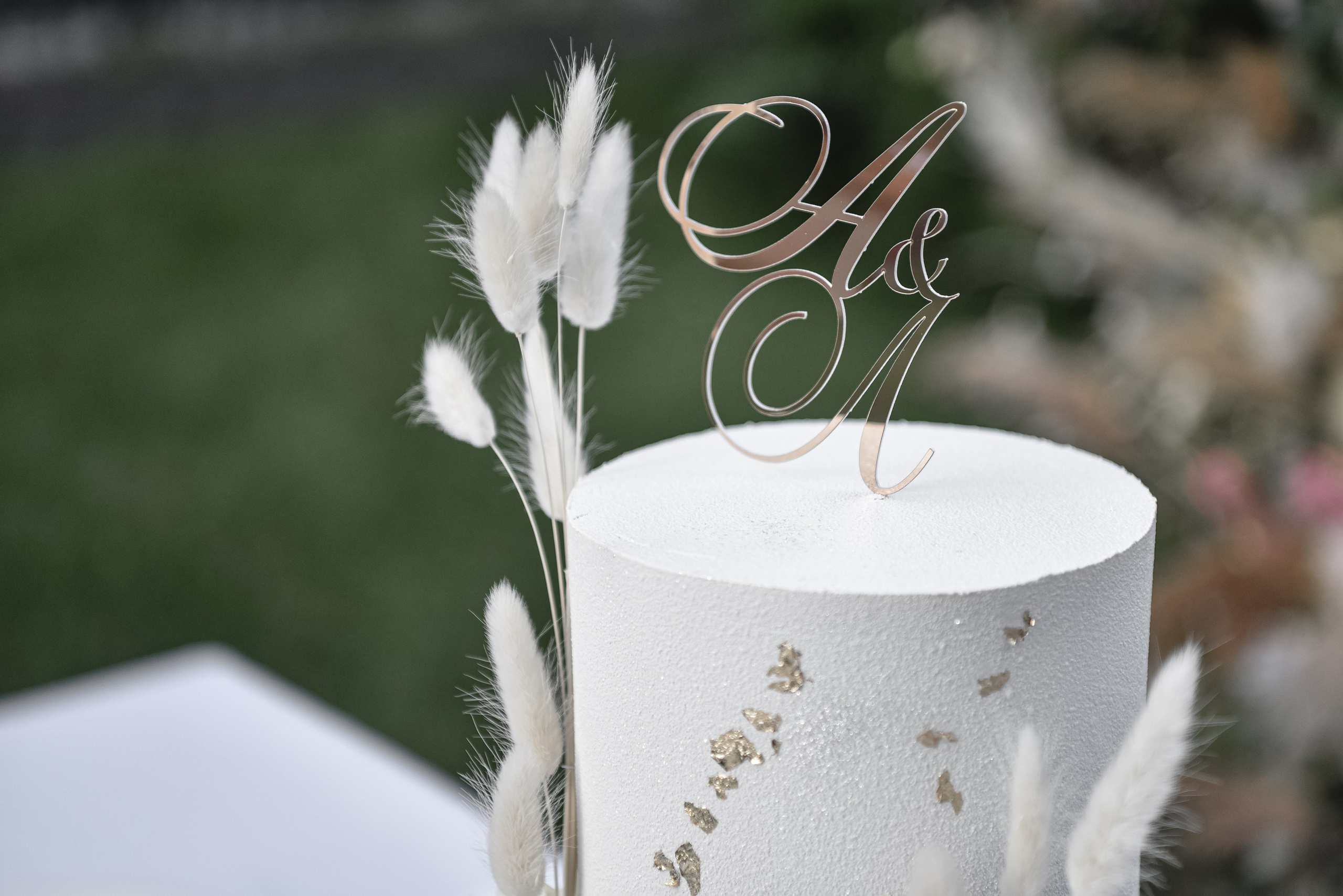 Лілія та Антон. Весільний фотограф, відеограф Київ, Київська область