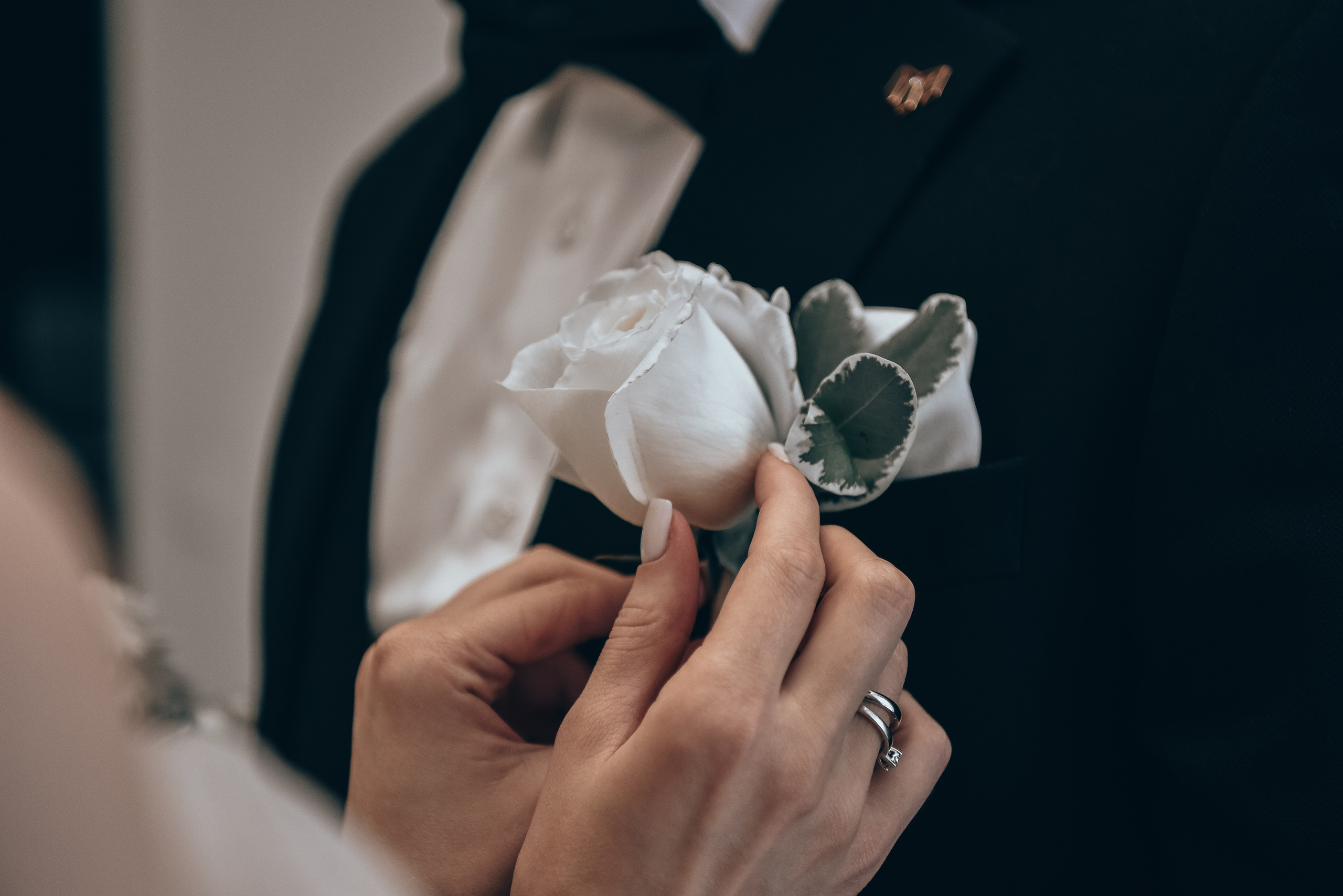 Ілона та Вячеслав. Весільний фотограф, відеограф Київ, Київська область