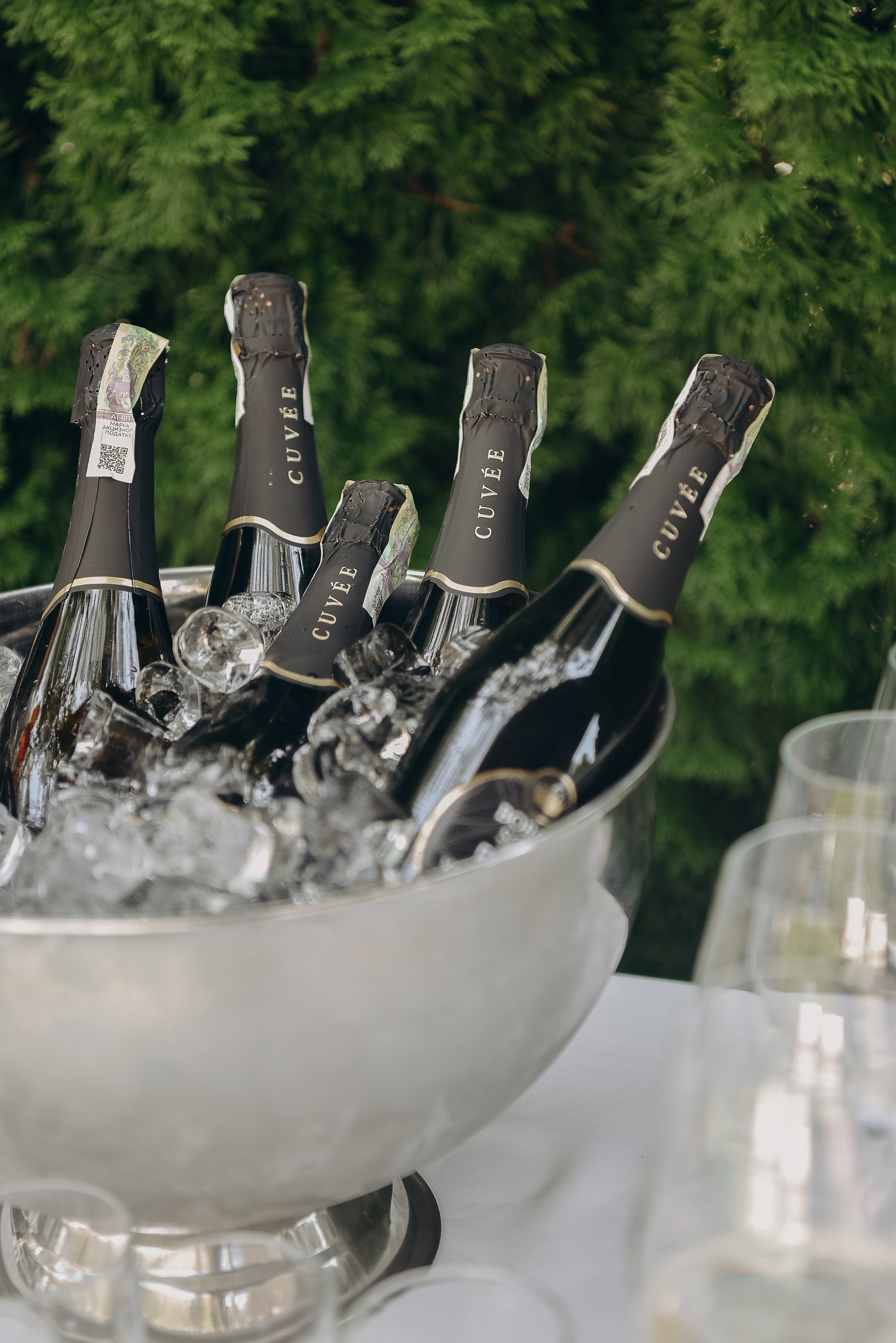 Євгеній та Олеся. Photographer, videographer, video editing, photo editing