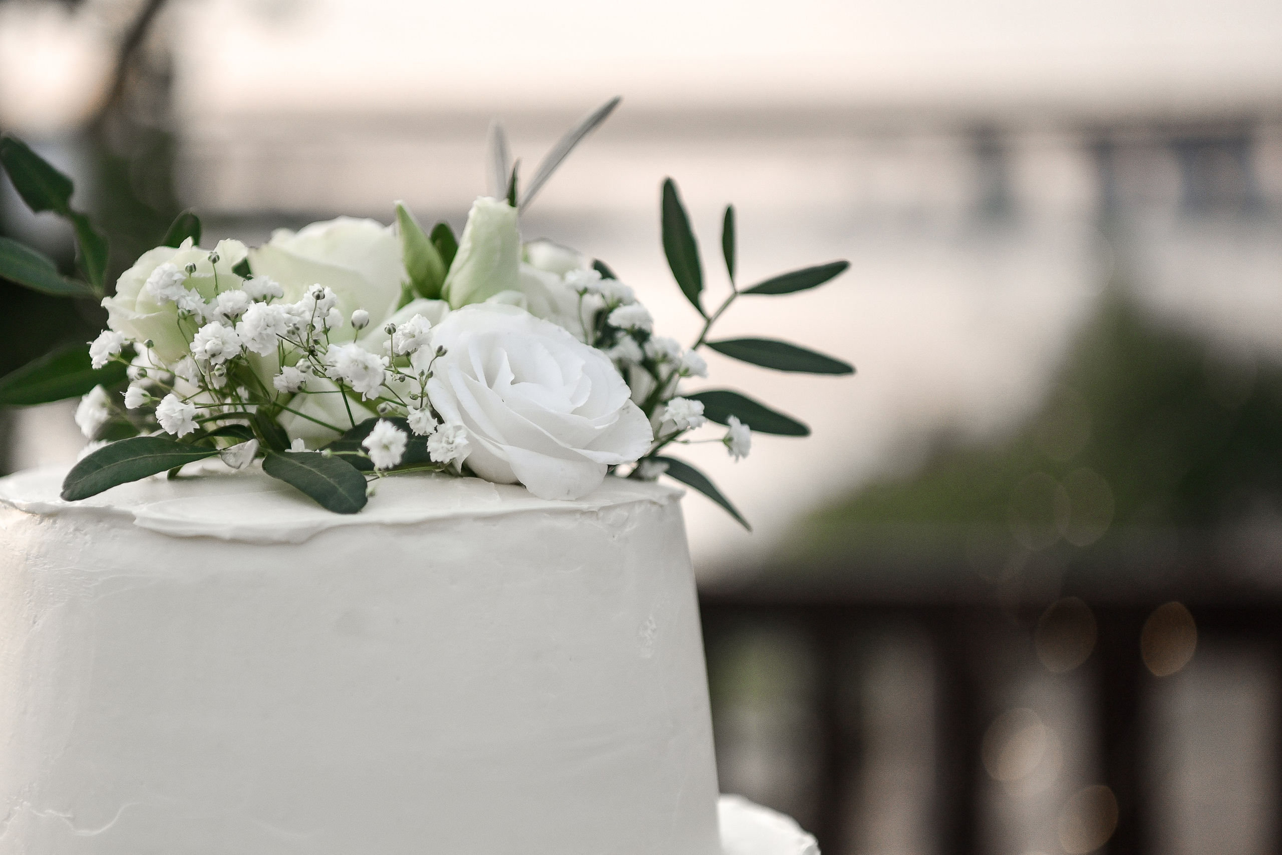 Ілона та Вячеслав. Весільний фотограф, відеограф Київ, Київська область