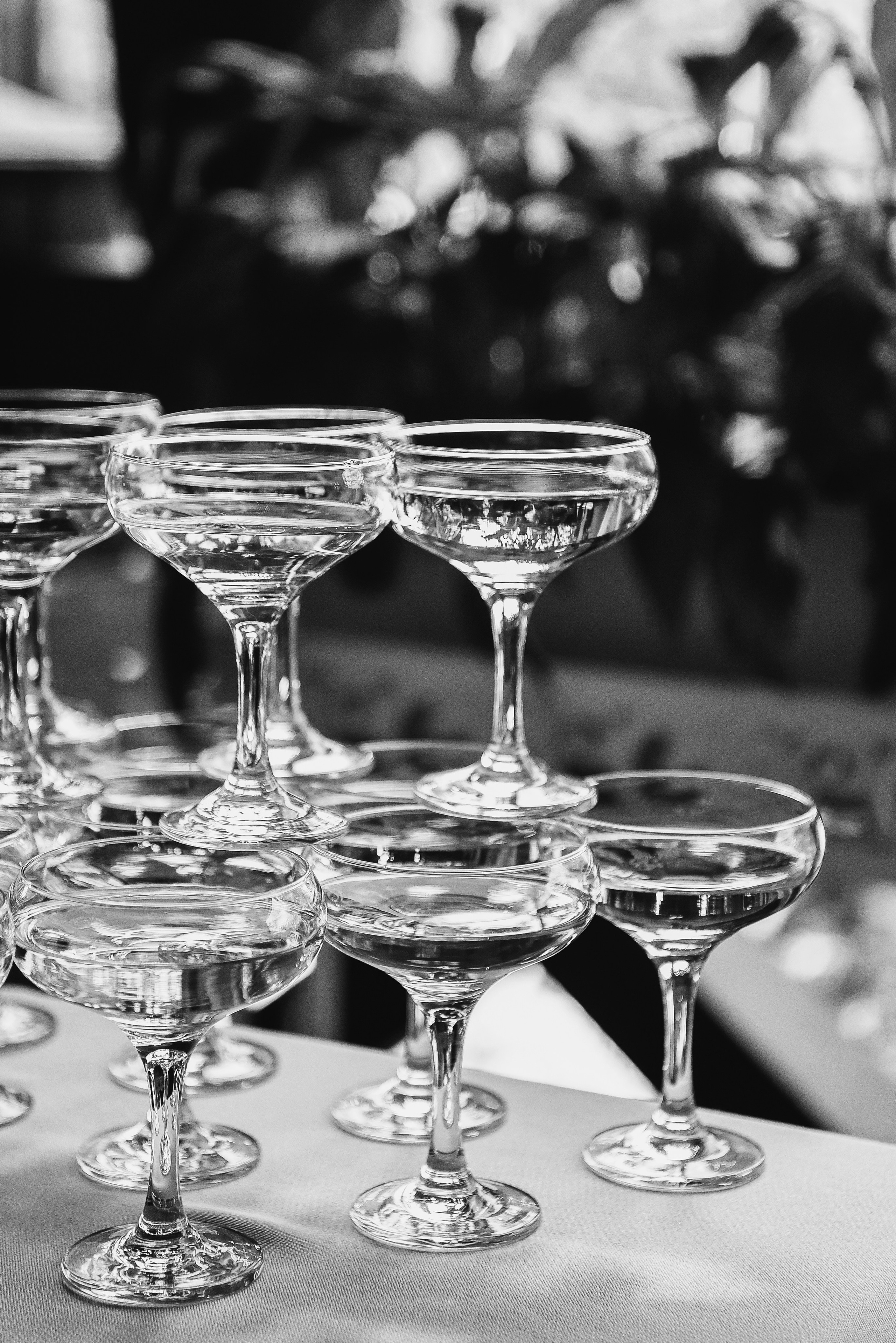 Крістоф та Василіса. Photographer, videographer, video editing, photo editing