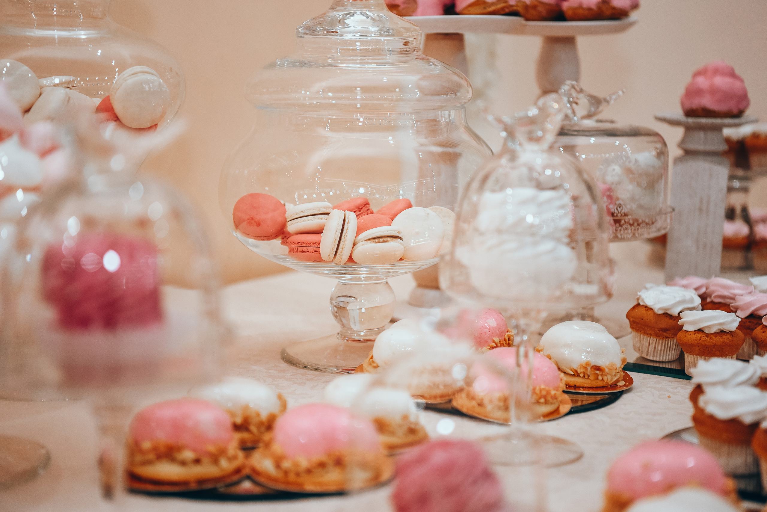 Julia and Nikita. Photographer, videographer, video editing, photo editing