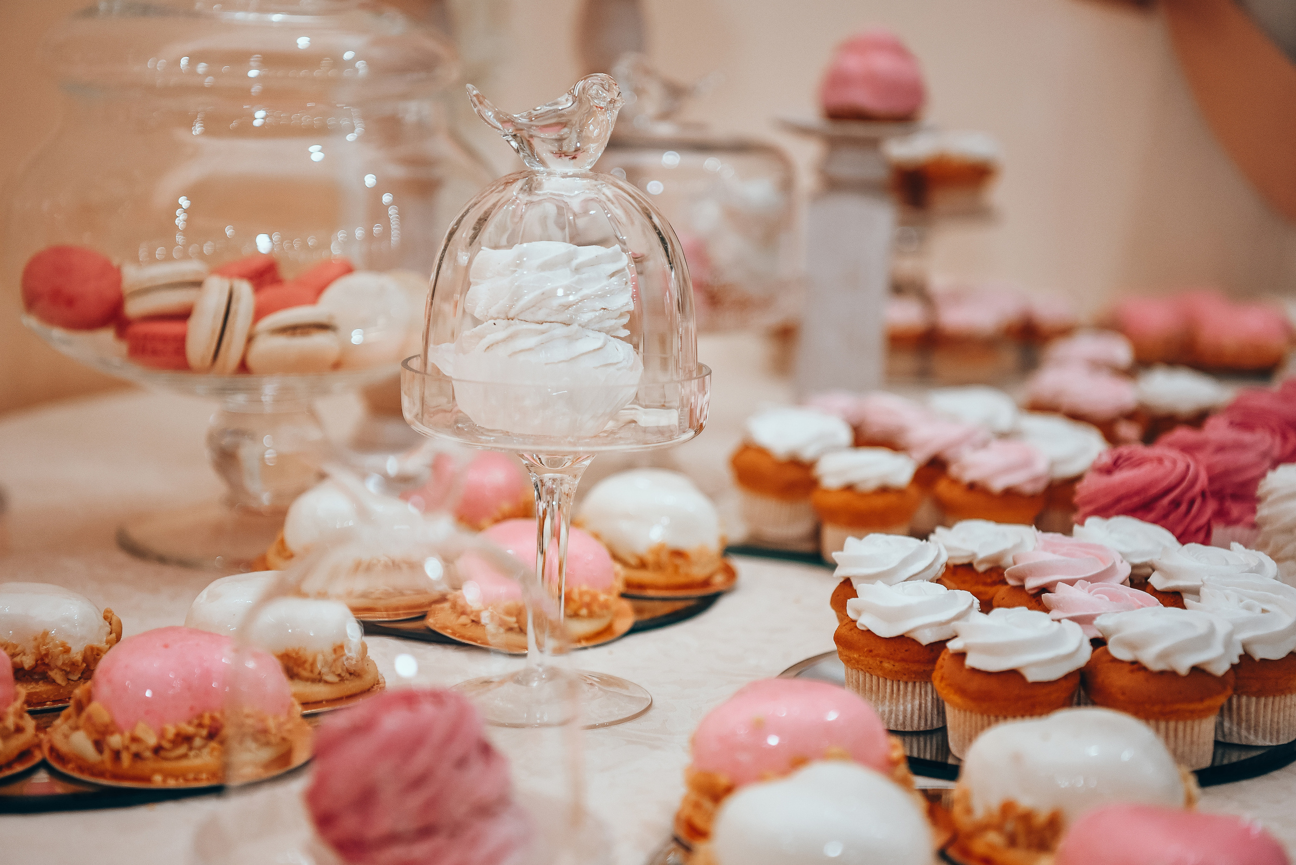 Julia and Nikita. Photographer, videographer, video editing, photo editing