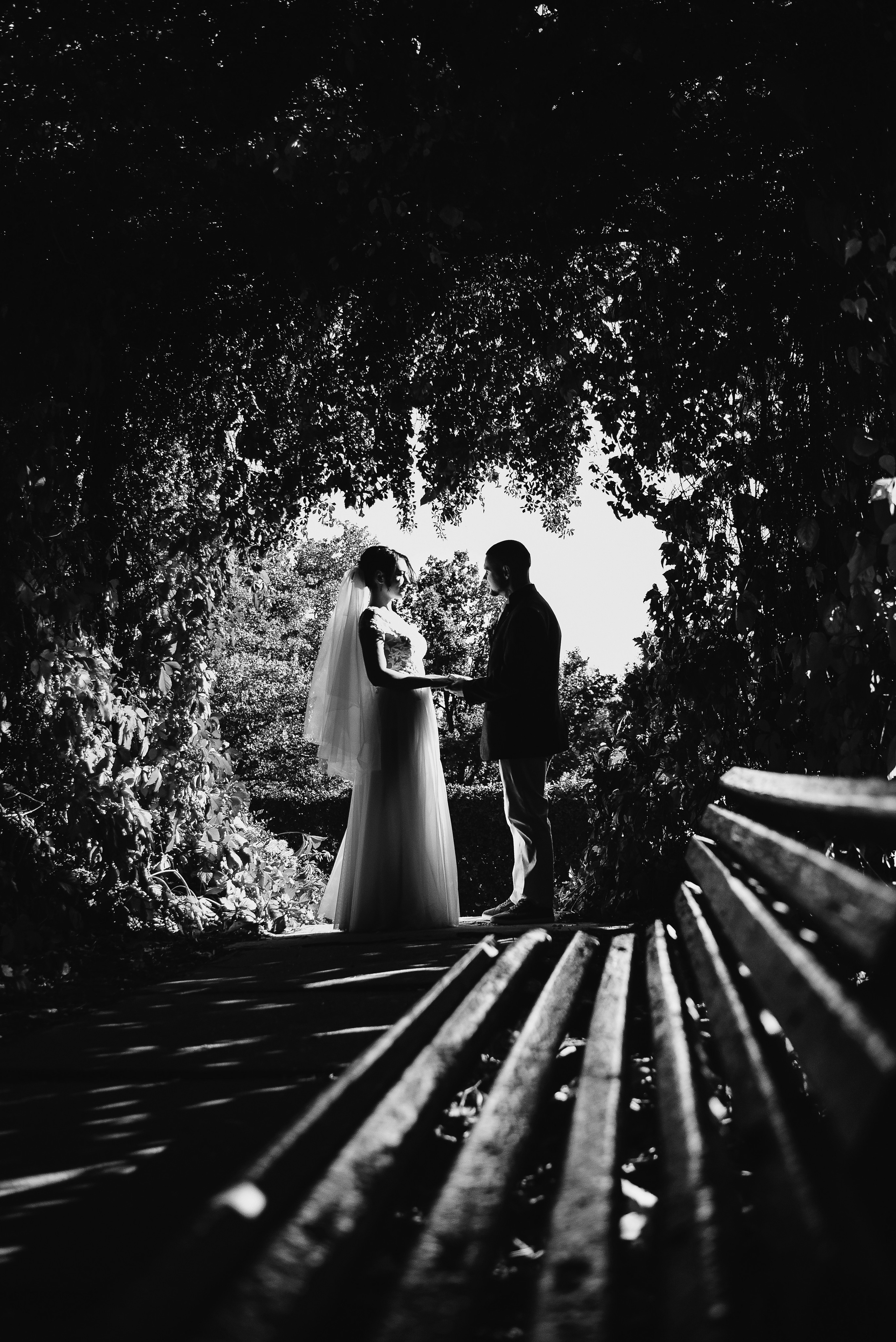 Весільний фотограф, відеооператор. Весільний фотограф, відеограф Київ, Київська область