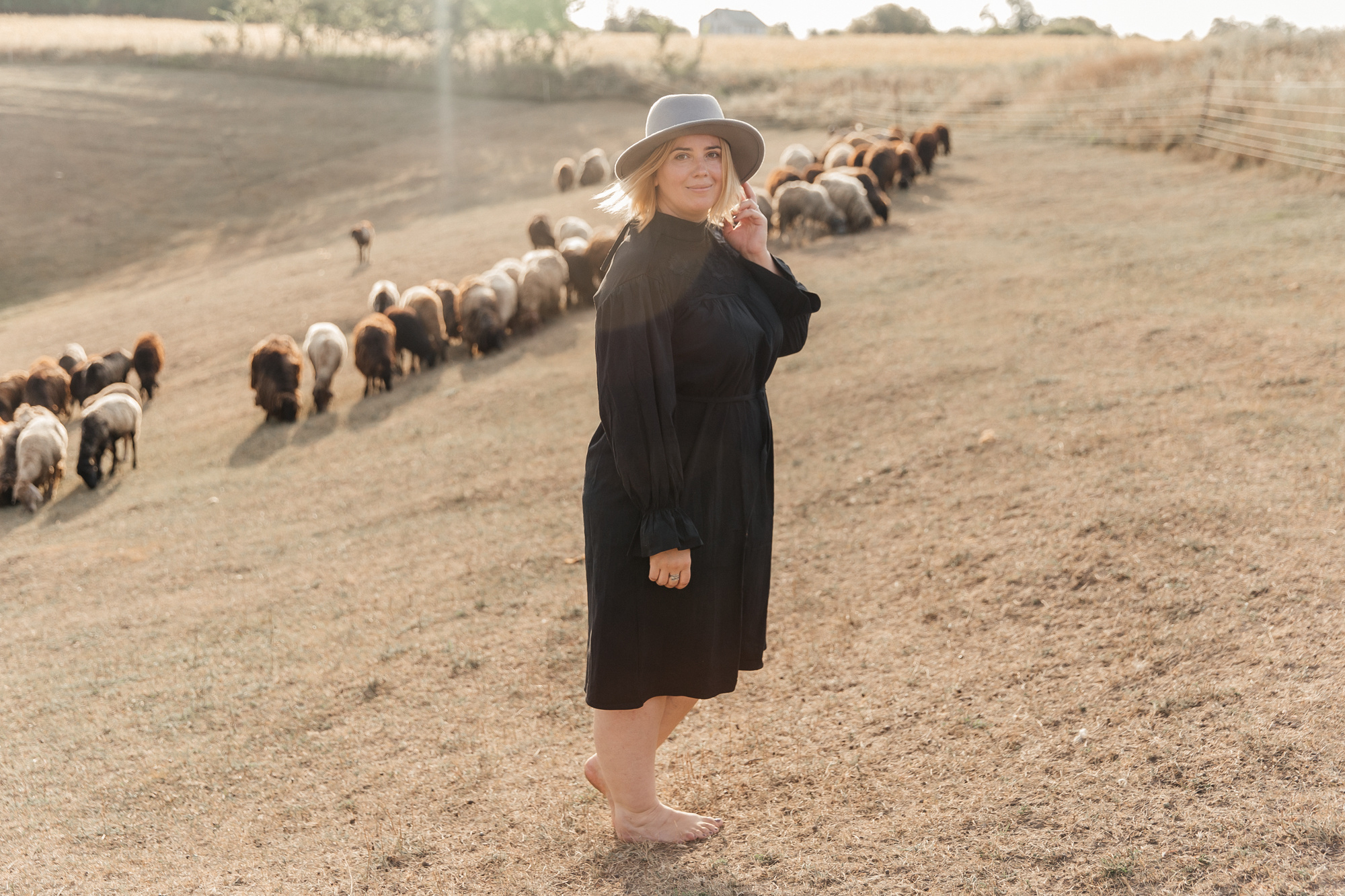 Sheep land. Фотограф Анастасия Шемет