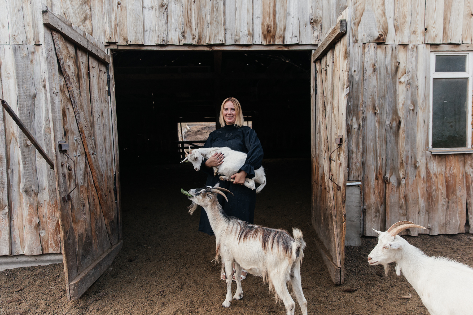 Sheep land. Фотограф Анастасия Шемет