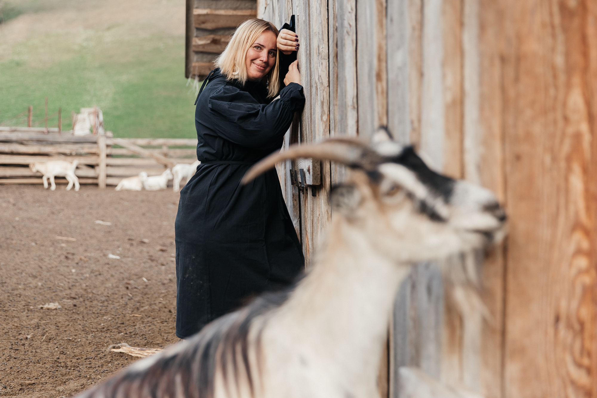 Sheep land. Фотограф Анастасия Шемет