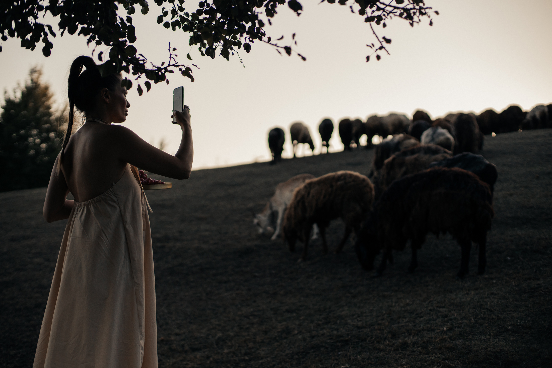 Настя, Дима и Кира. Фотограф Анастасия Шемет