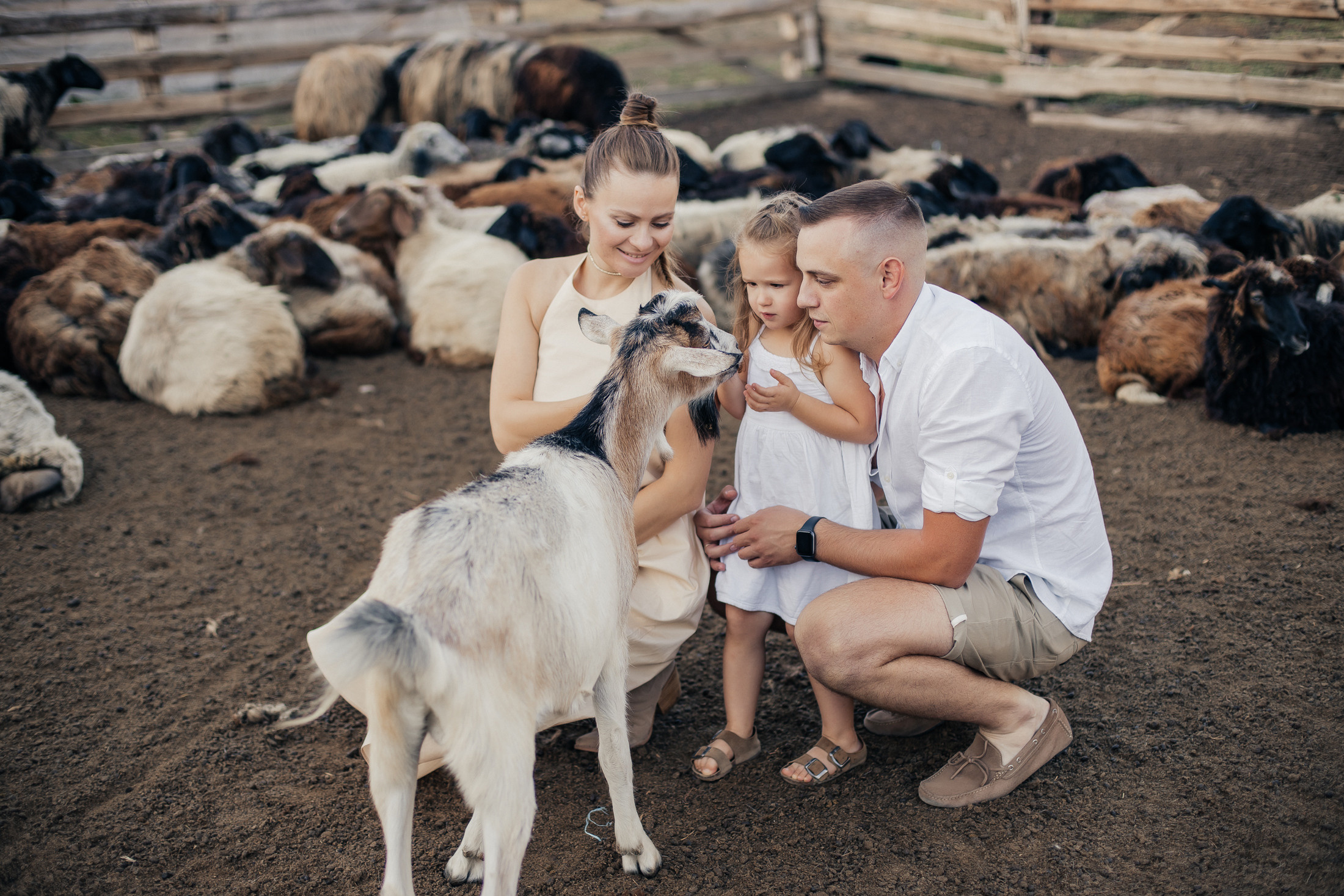 Сімейні. Фотограф Анастасия Шемет