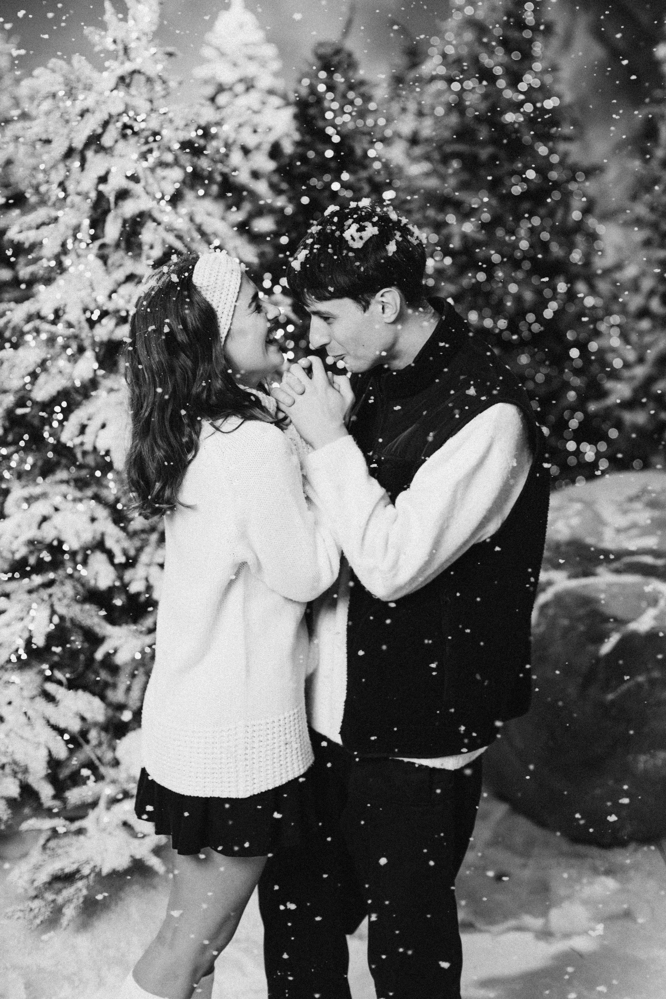 Winter forest. Фотограф Анастасия Шемет