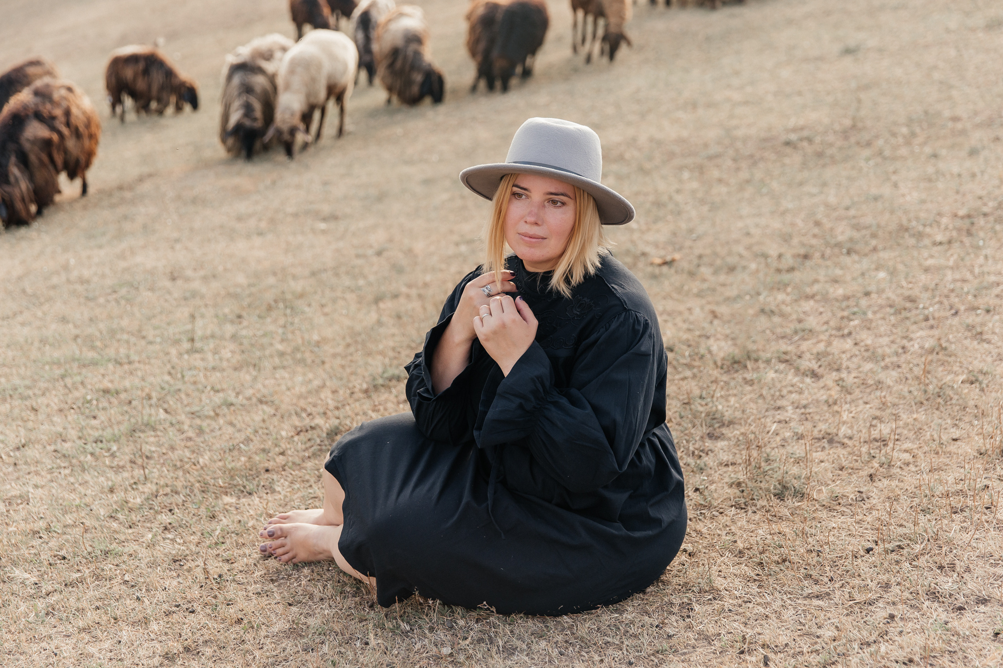 Sheep land. Фотограф Анастасия Шемет