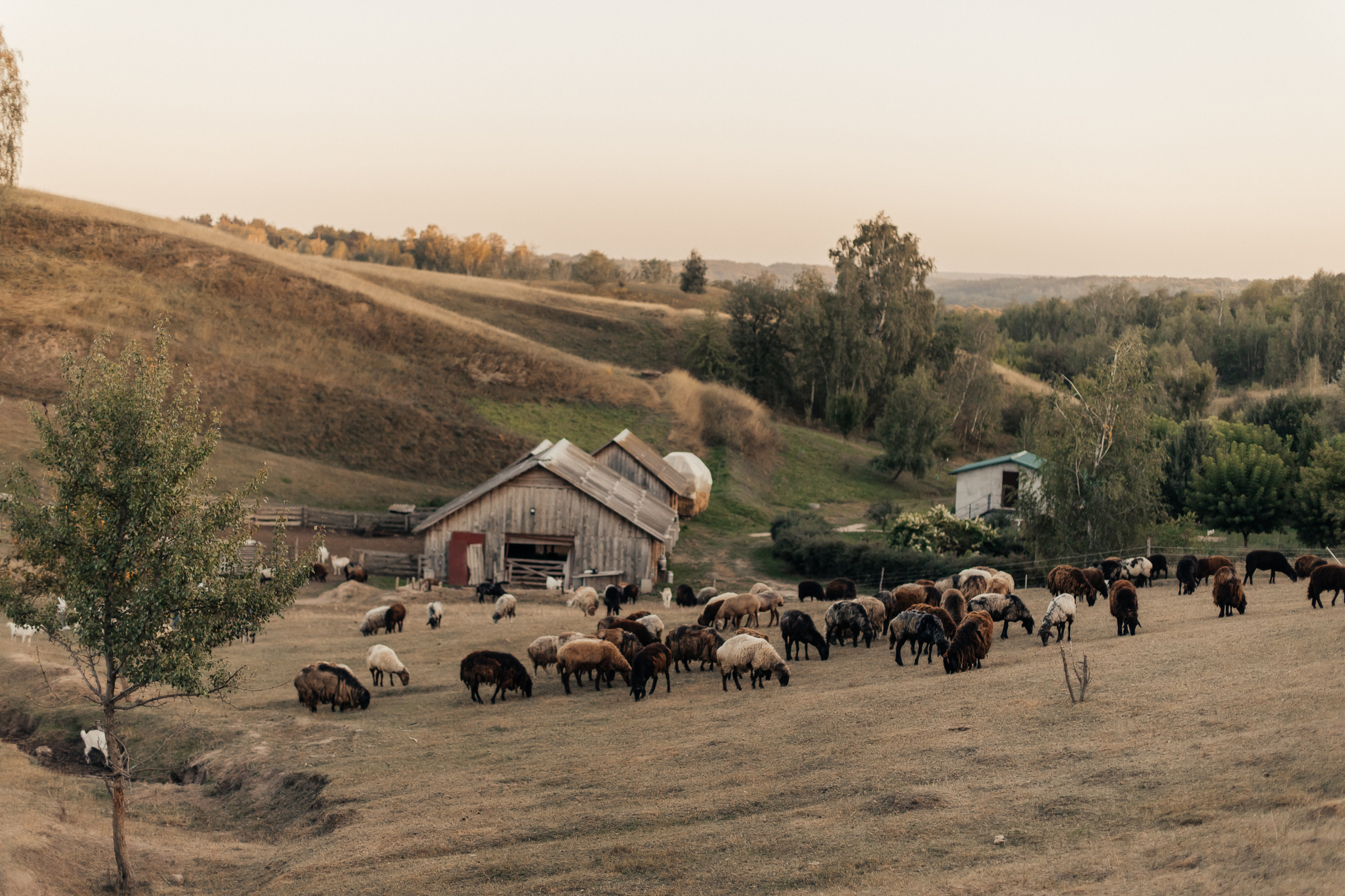 Настя, Дима и Кира. Фотограф Анастасия Шемет