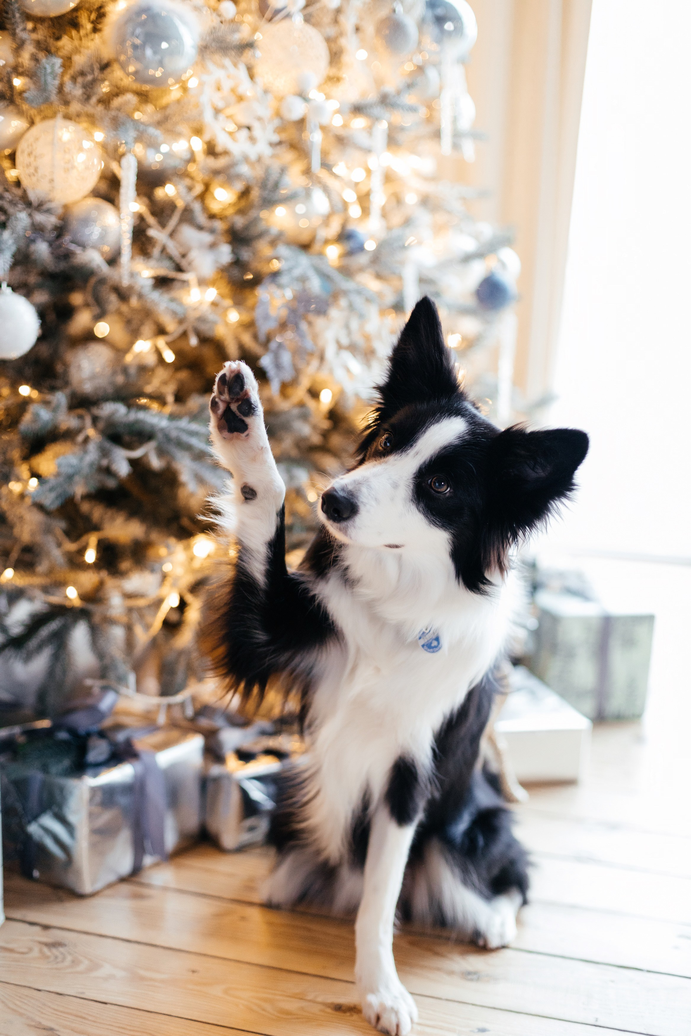 Our family. Фотограф Анастасия Шемет