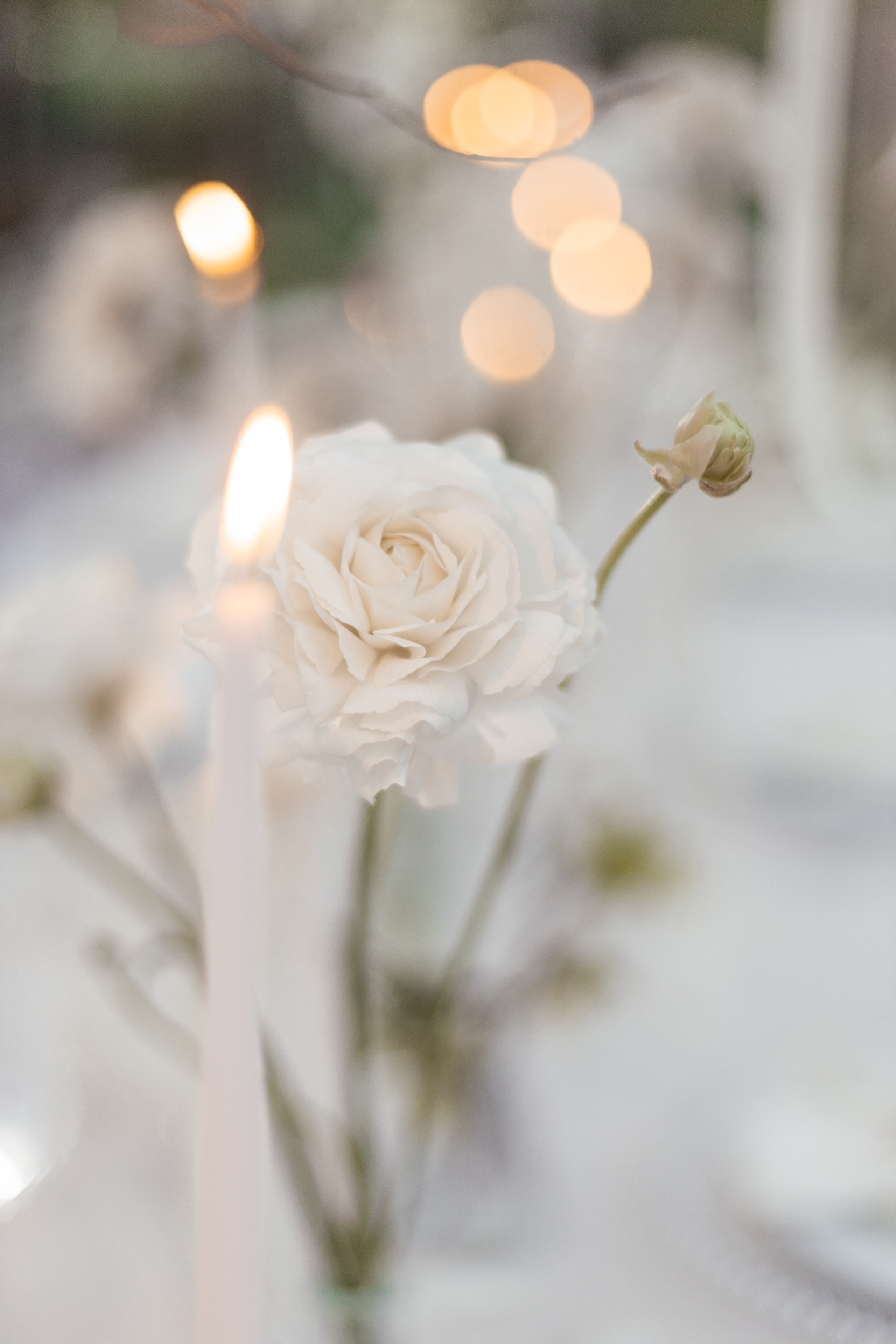 Ліза та Нікіта. Фотограф Анастасия Шемет