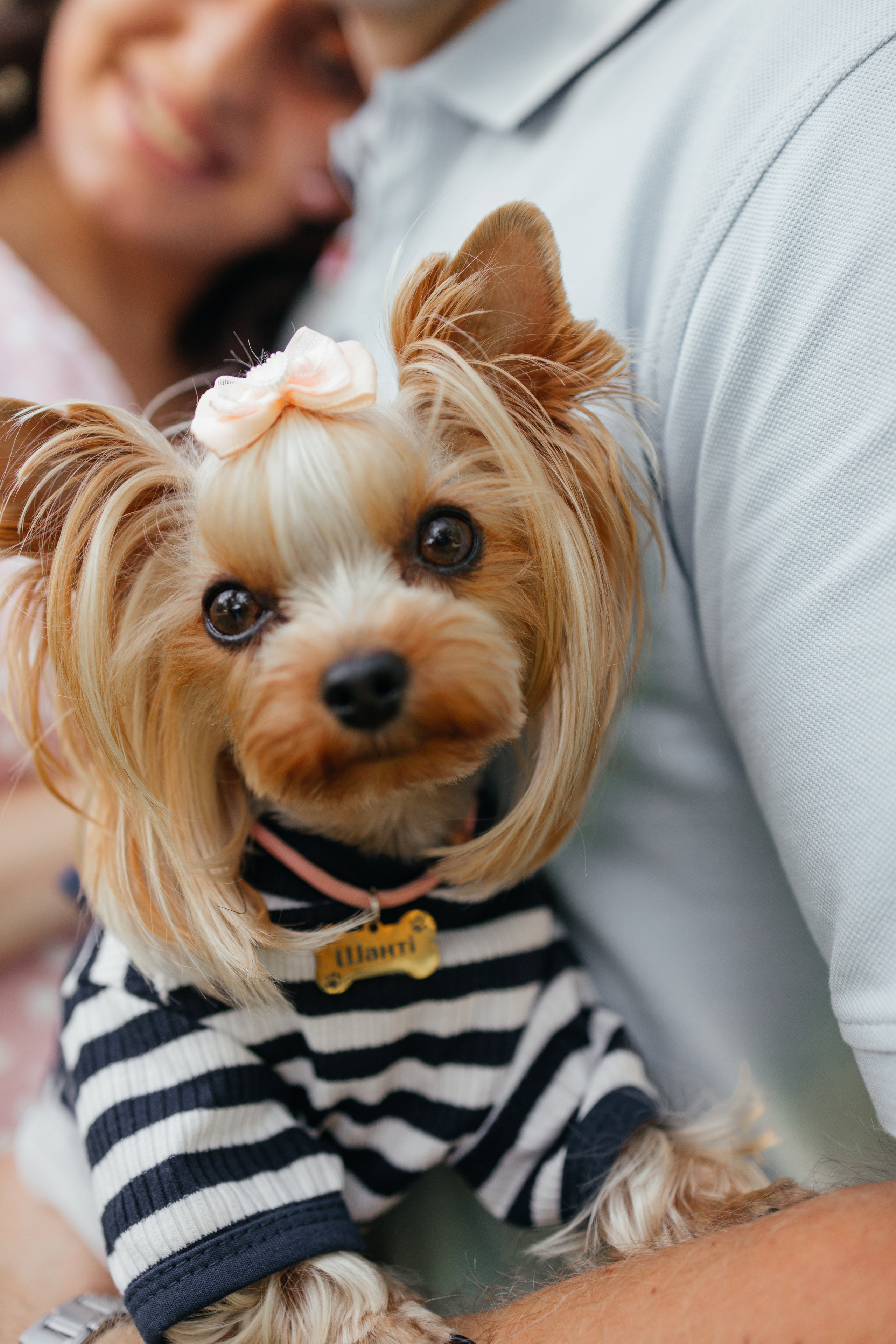 У нас буде…. Фотограф Анастасия Шемет