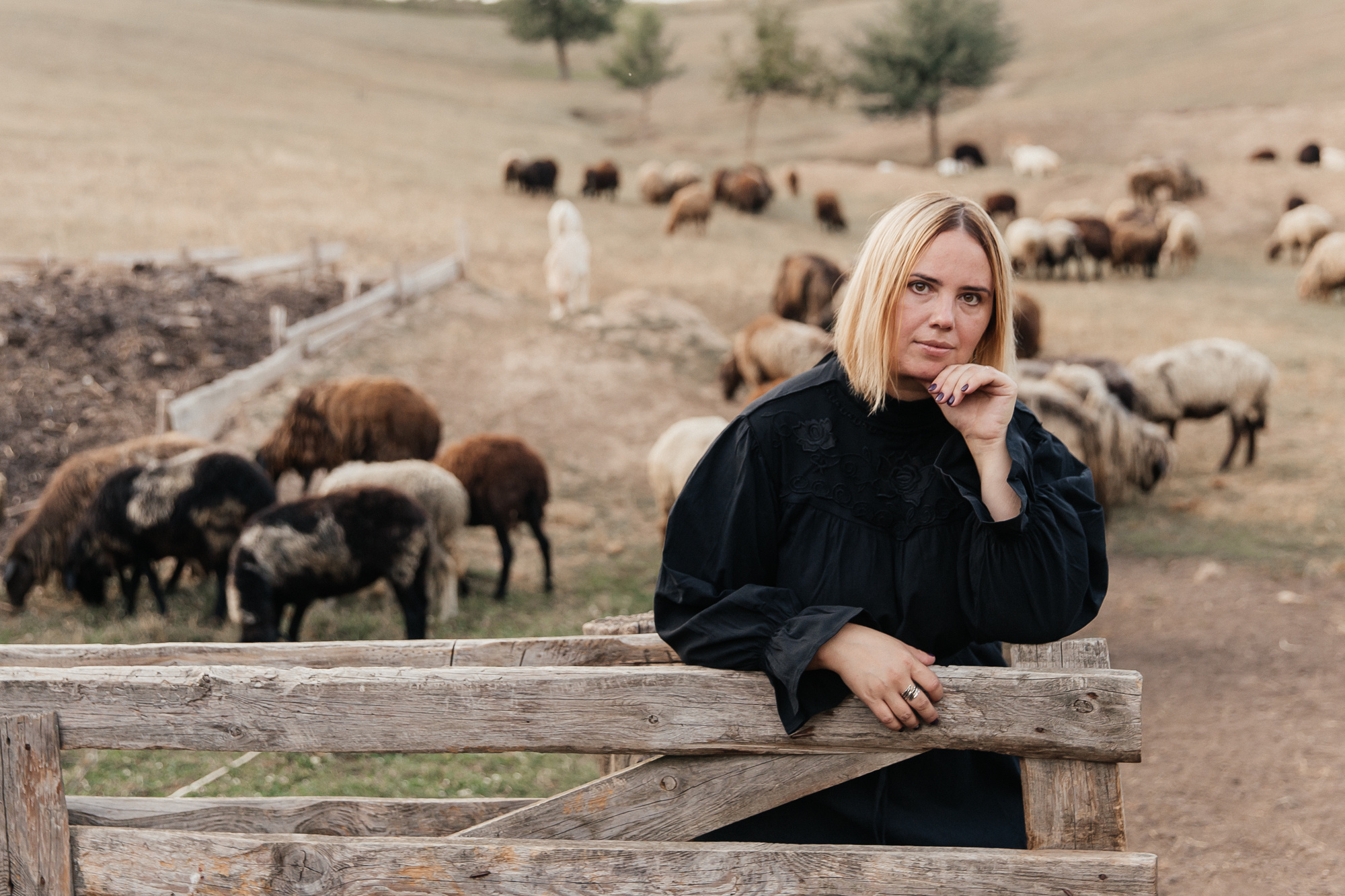 Sheep land. Фотограф Анастасия Шемет