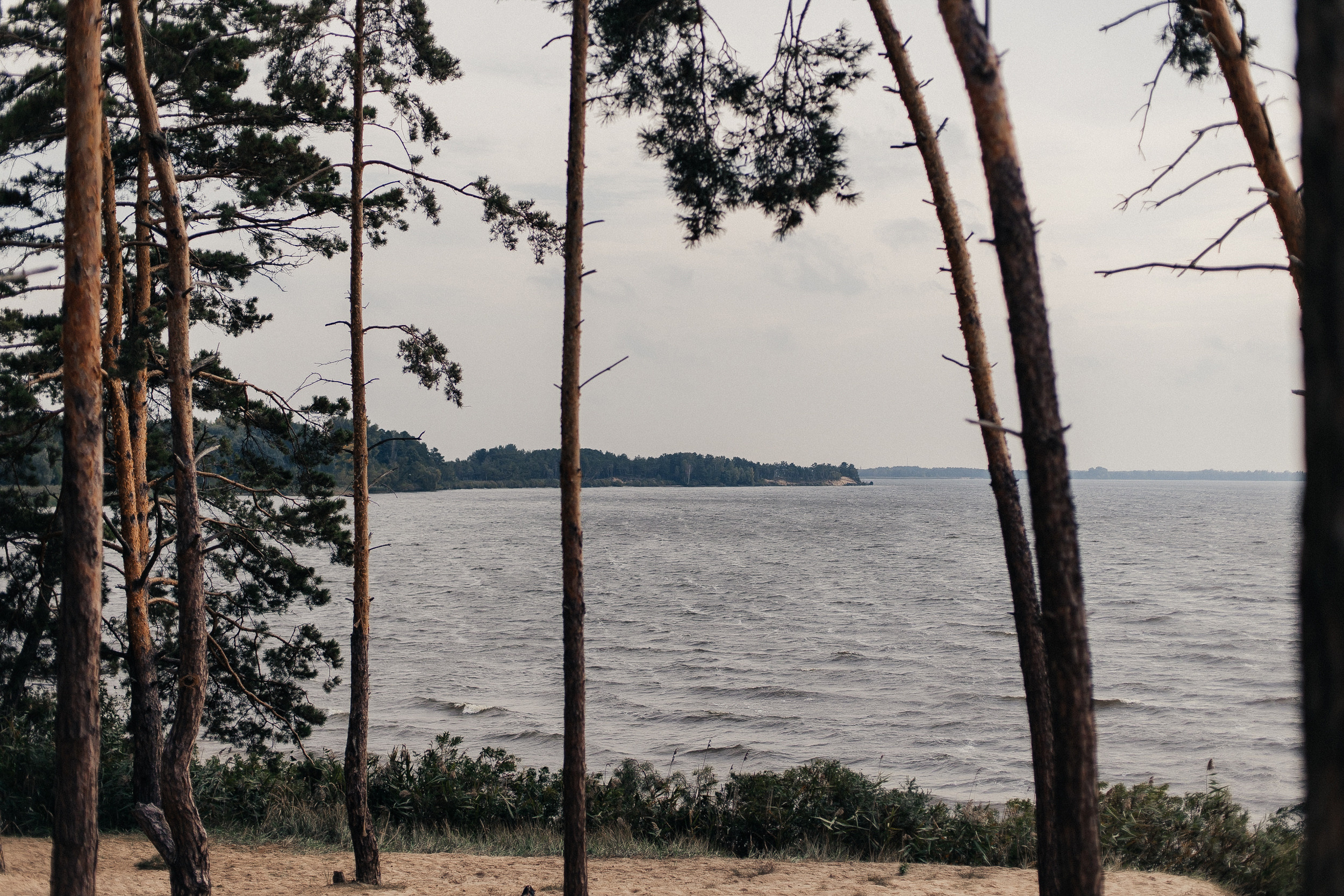 Ксения и Сергей. Фотограф Анастасия Шемет
