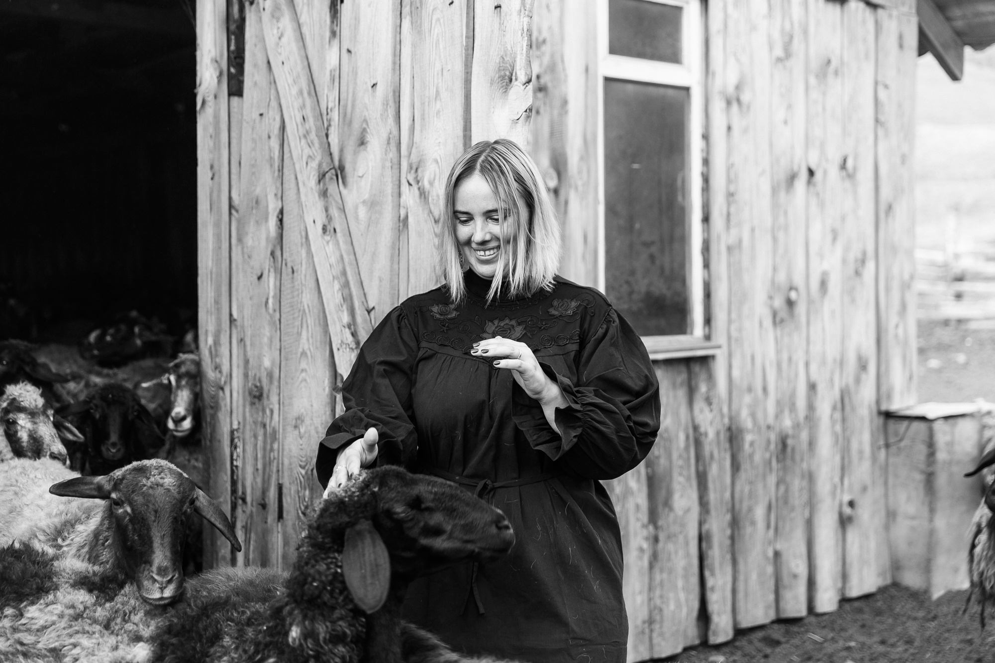 Sheep land. Фотограф Анастасия Шемет