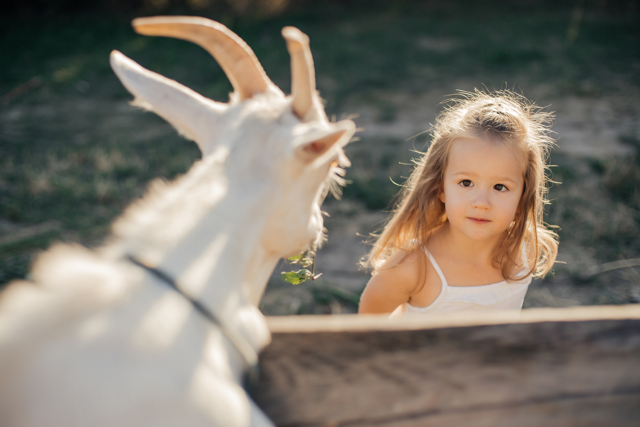 Настя, Дима и Кира. Фотограф Анастасия Шемет