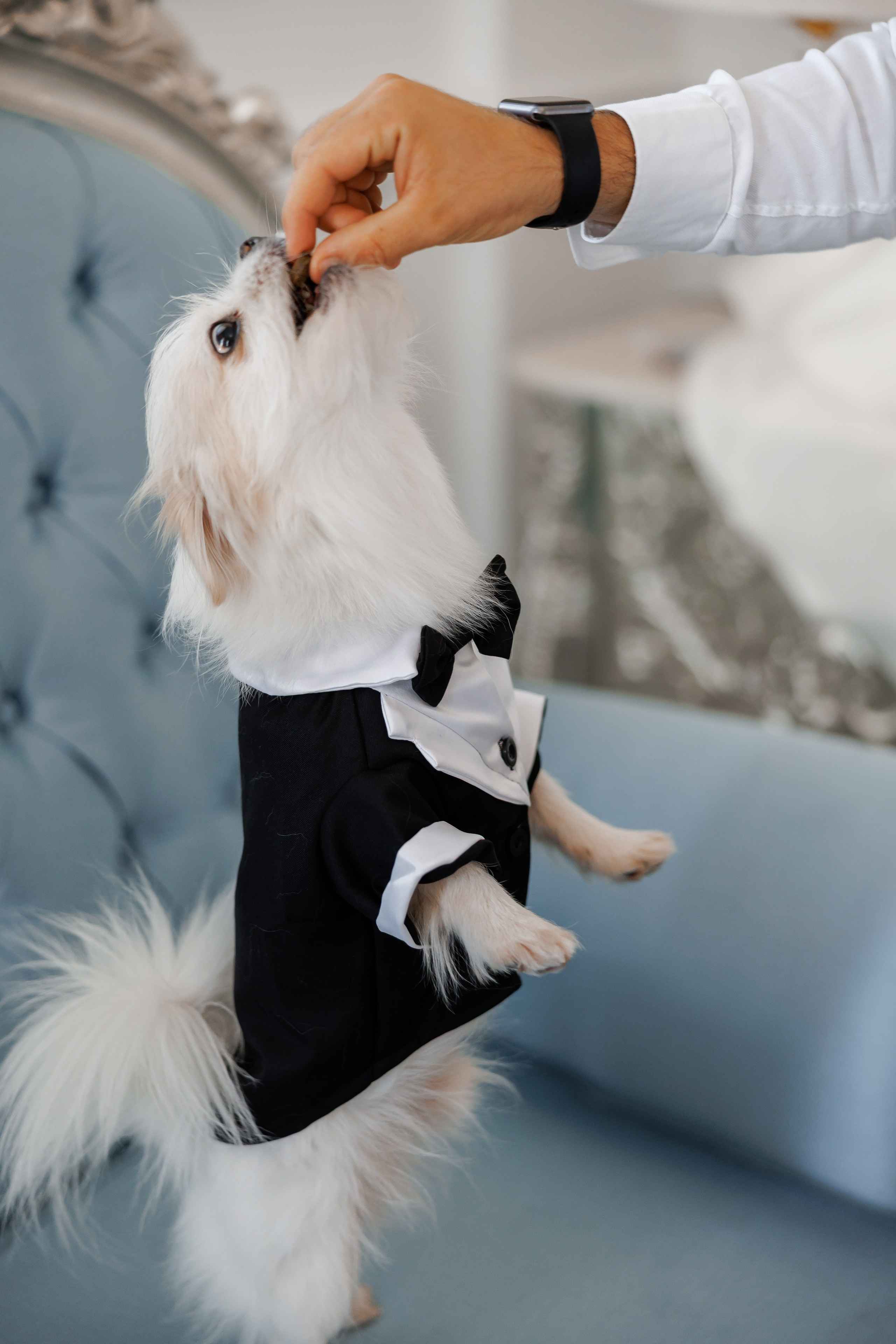 Аліна та Єгор. Фотограф Анастасия Шемет