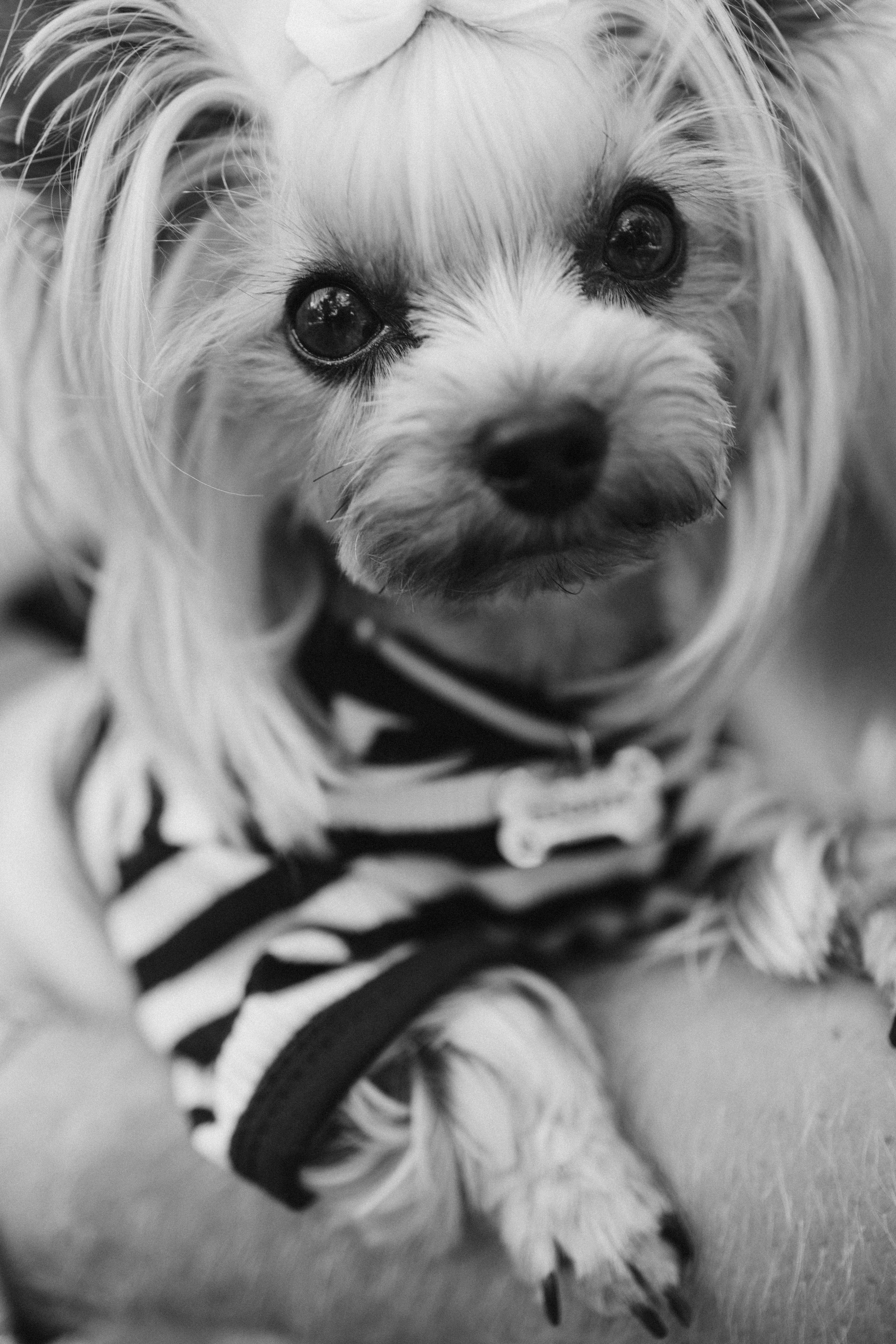 У нас буде…. Фотограф Анастасия Шемет