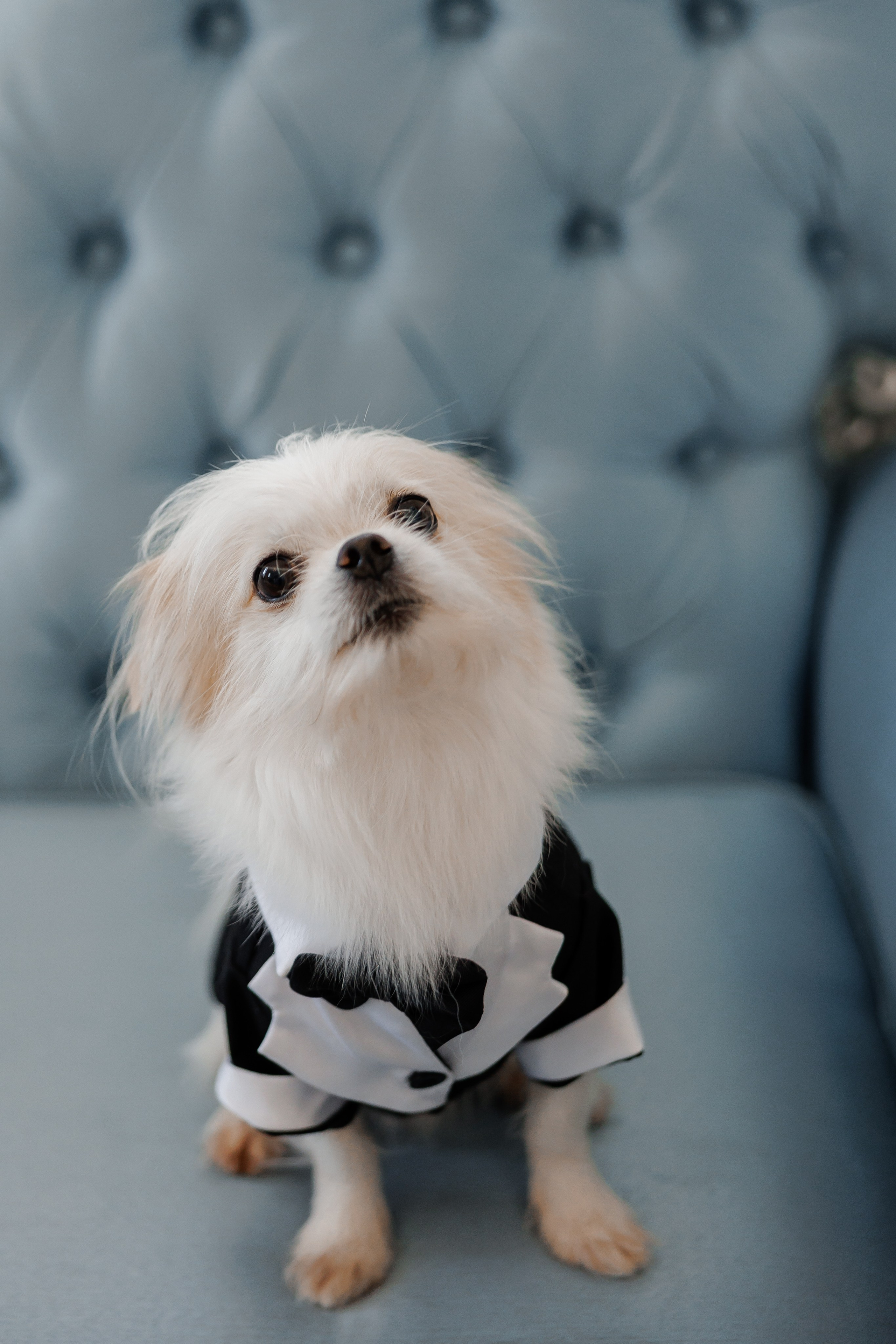 Аліна та Єгор. Фотограф Анастасия Шемет