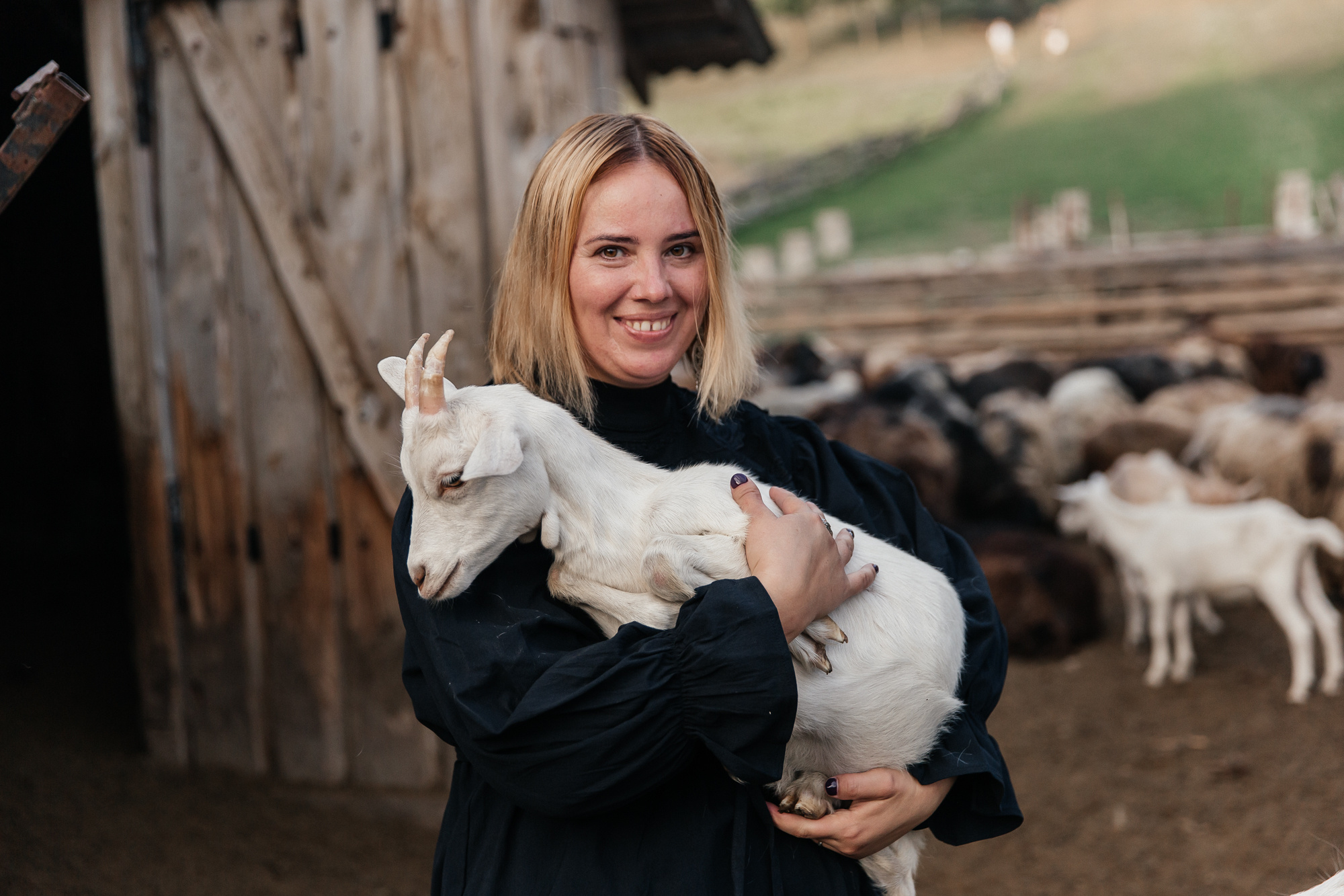Sheep land. Фотограф Анастасия Шемет
