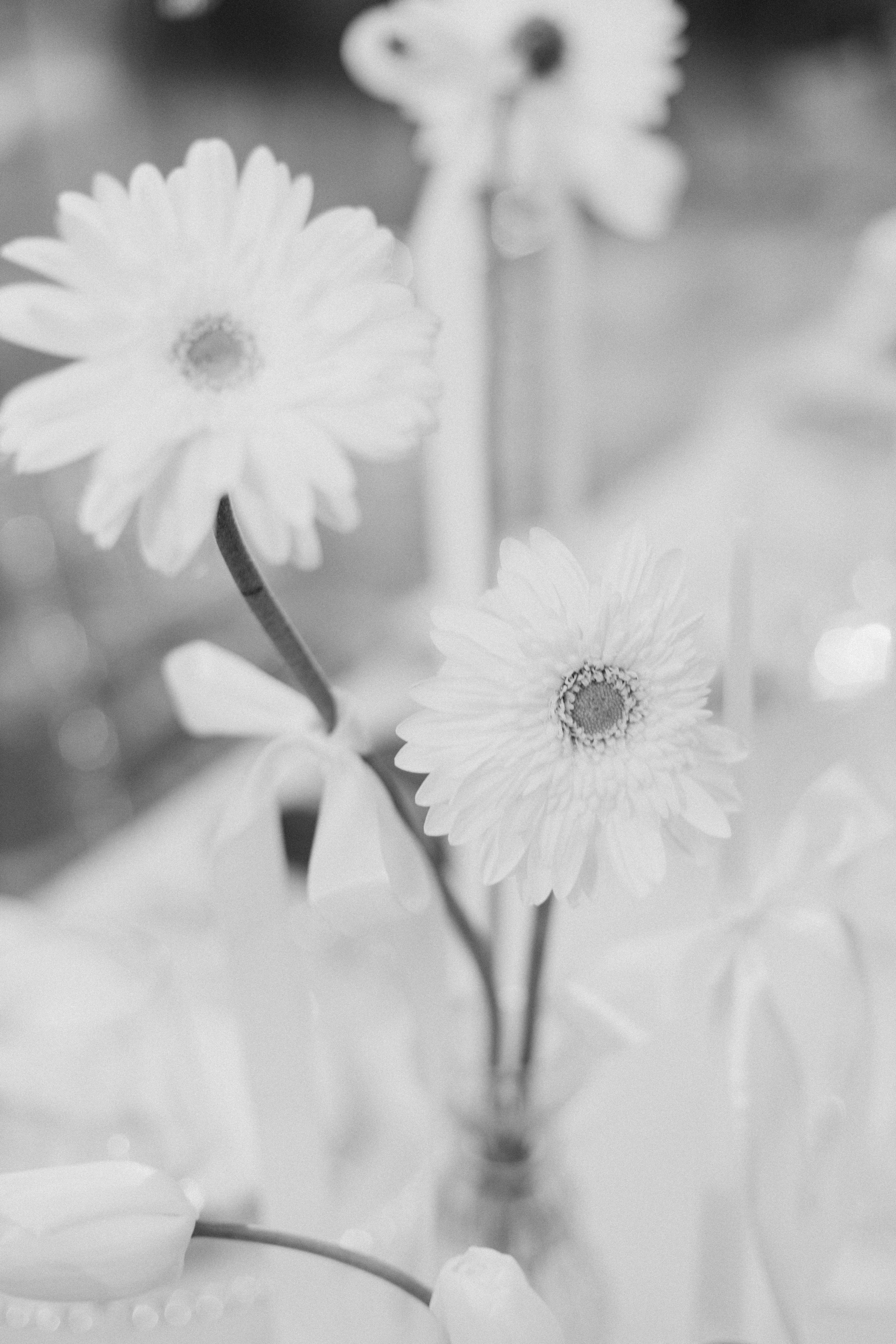 Ліза та Нікіта. Фотограф Анастасия Шемет