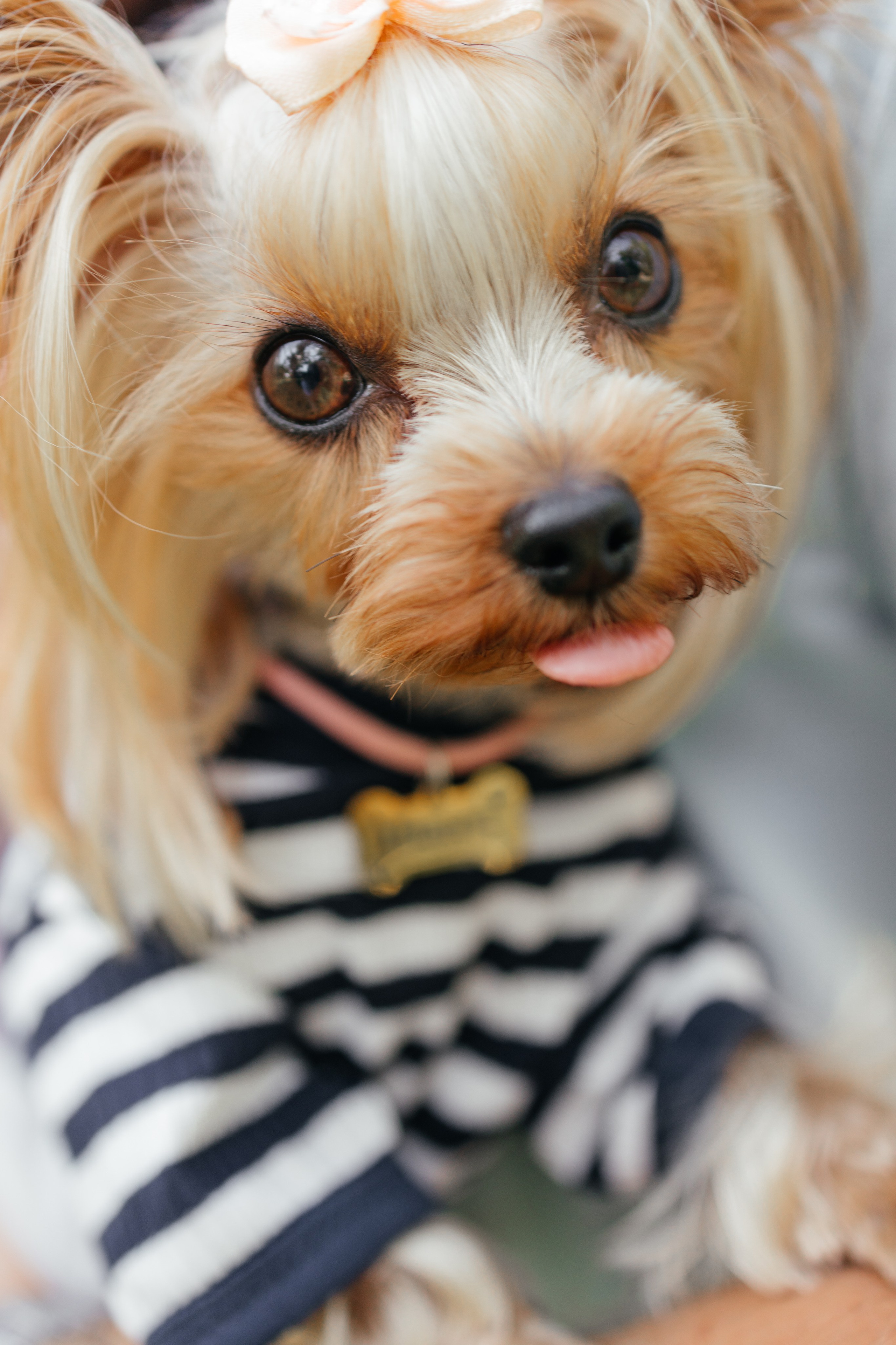 У нас буде…. Фотограф Анастасия Шемет