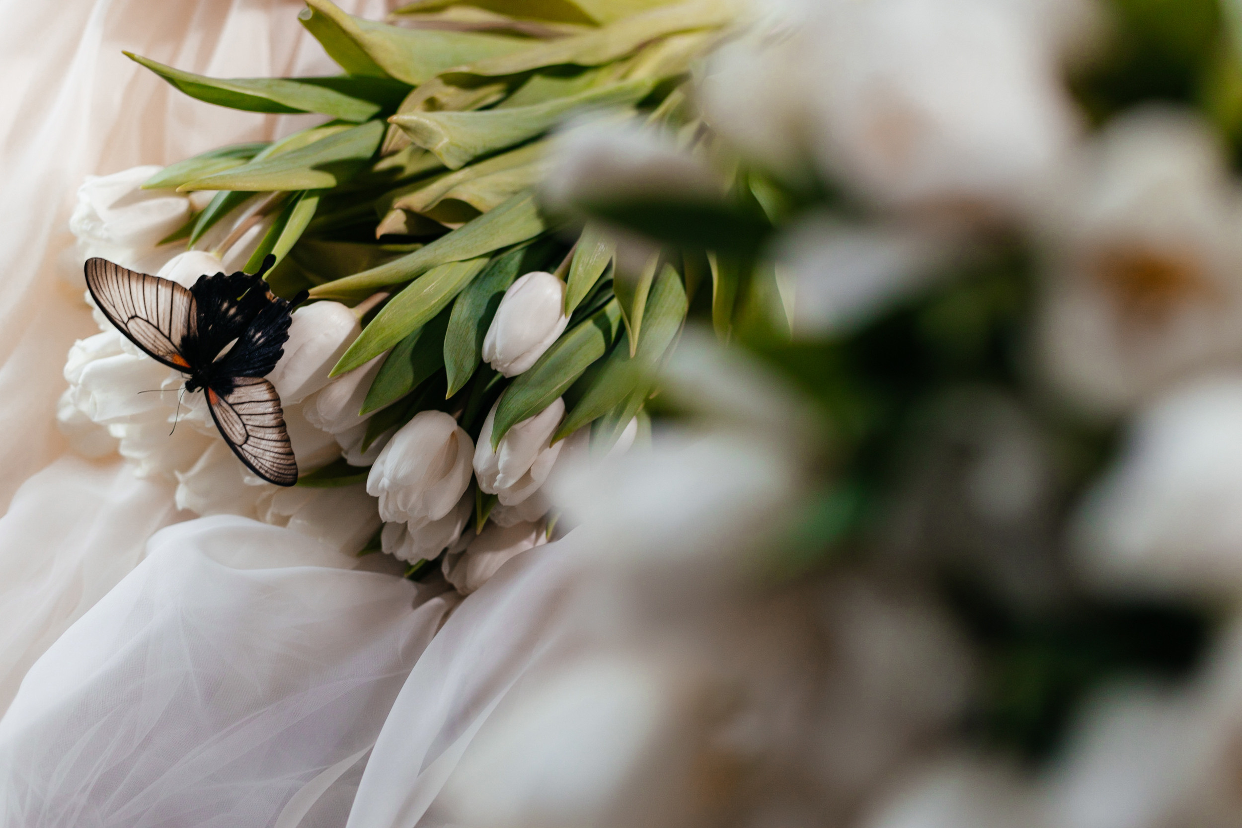 Марина и Лиза. Фотограф Анастасия Шемет