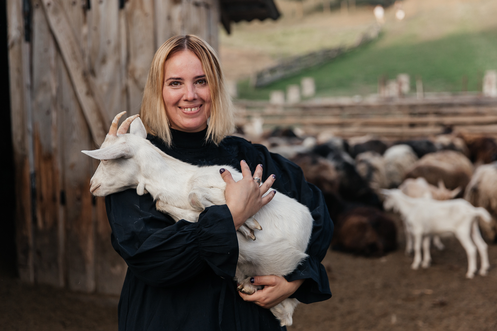 Sheep land. Фотограф Анастасия Шемет
