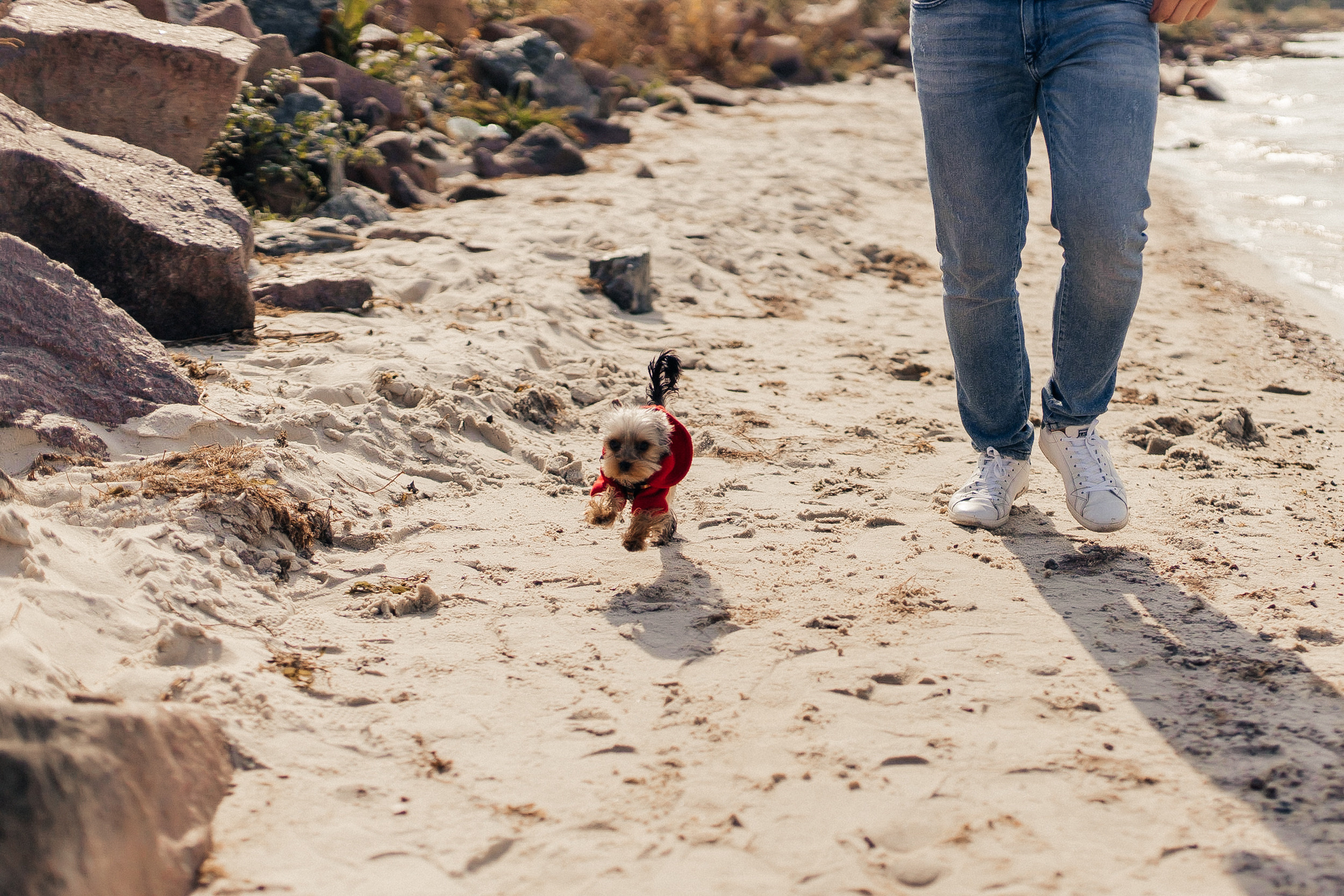 Ксения и Сергей. Фотограф Анастасия Шемет