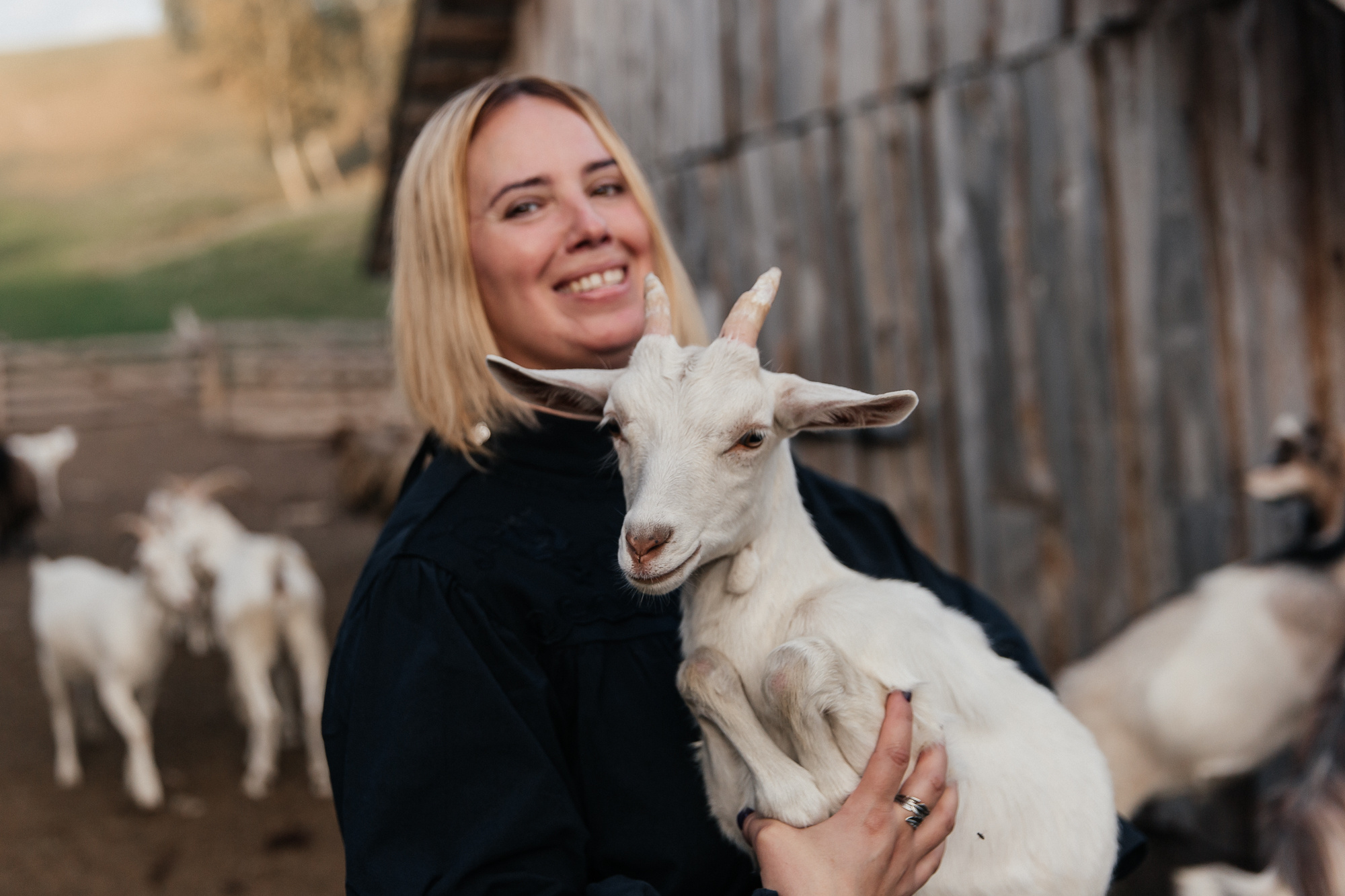 Sheep land. Фотограф Анастасия Шемет