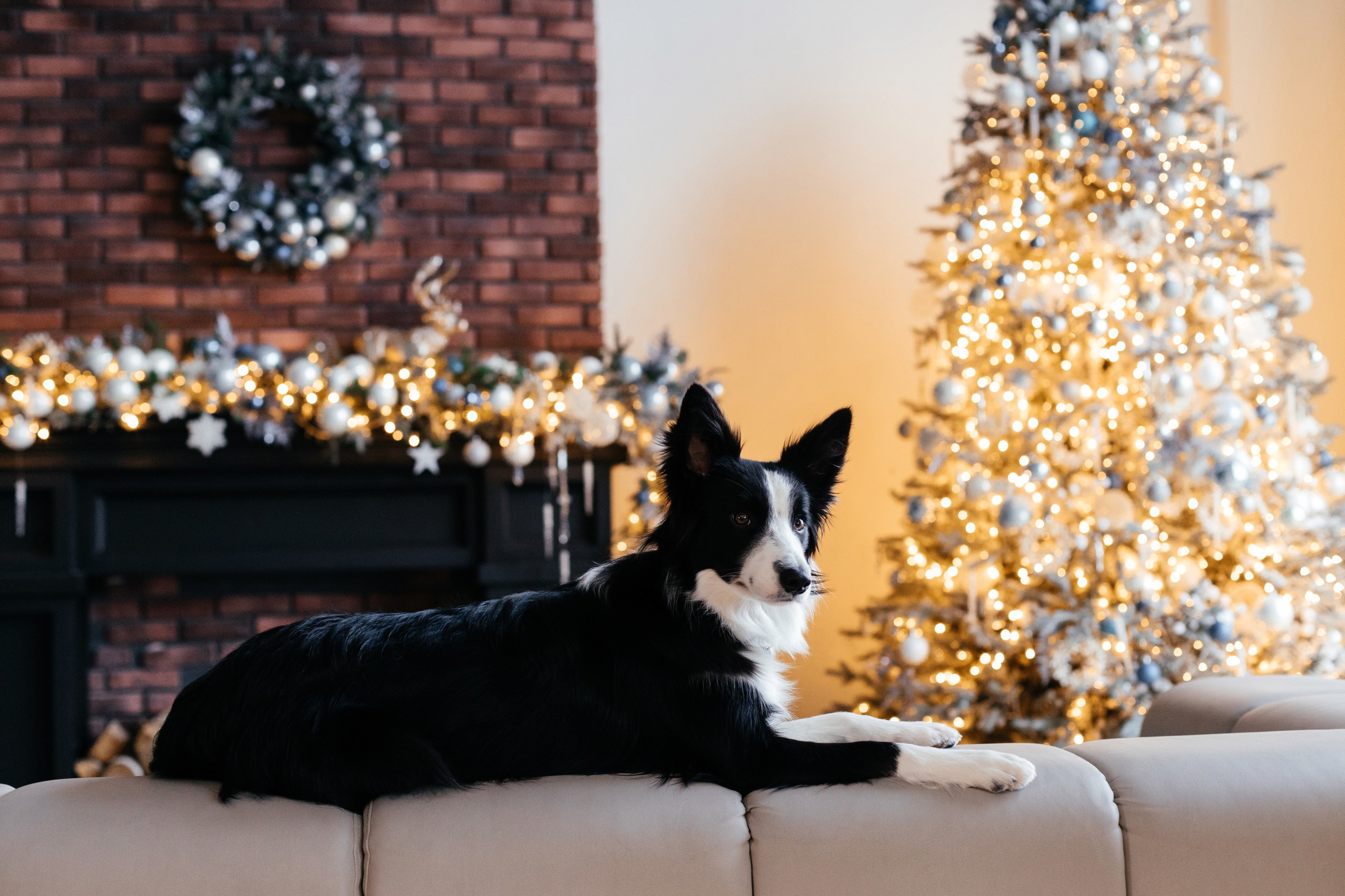 Our family. Фотограф Анастасия Шемет